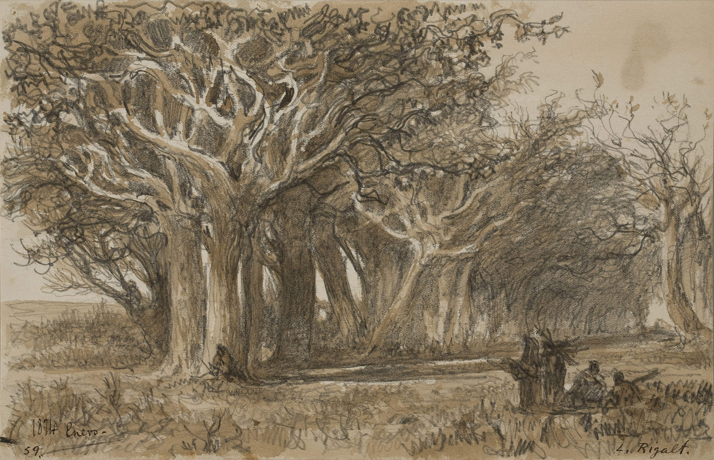 image for: Lluís Rigalt - Bosc - Gener de 1874