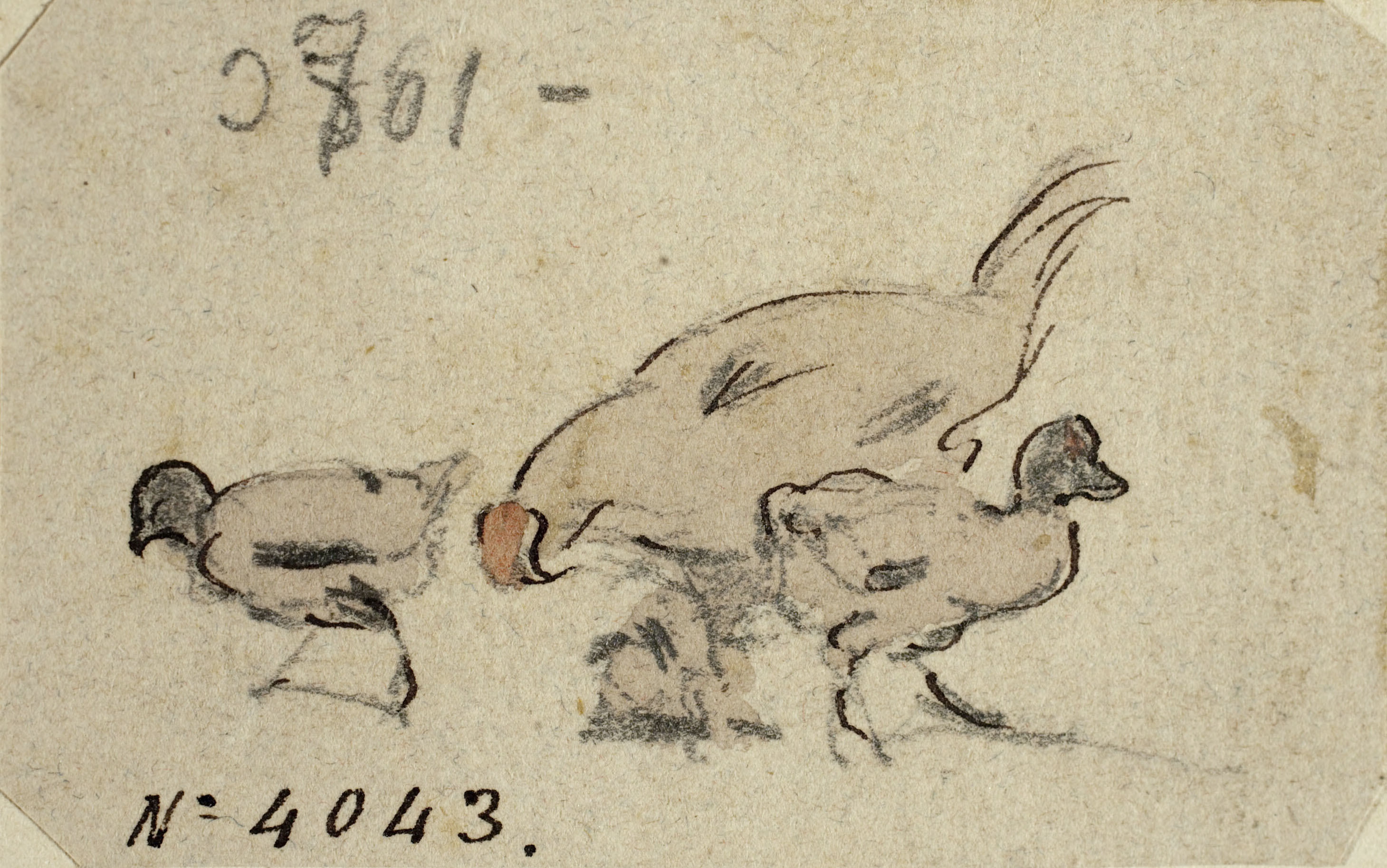 image for: Modest Urgell - Gallina i pollets - Cap a 1864