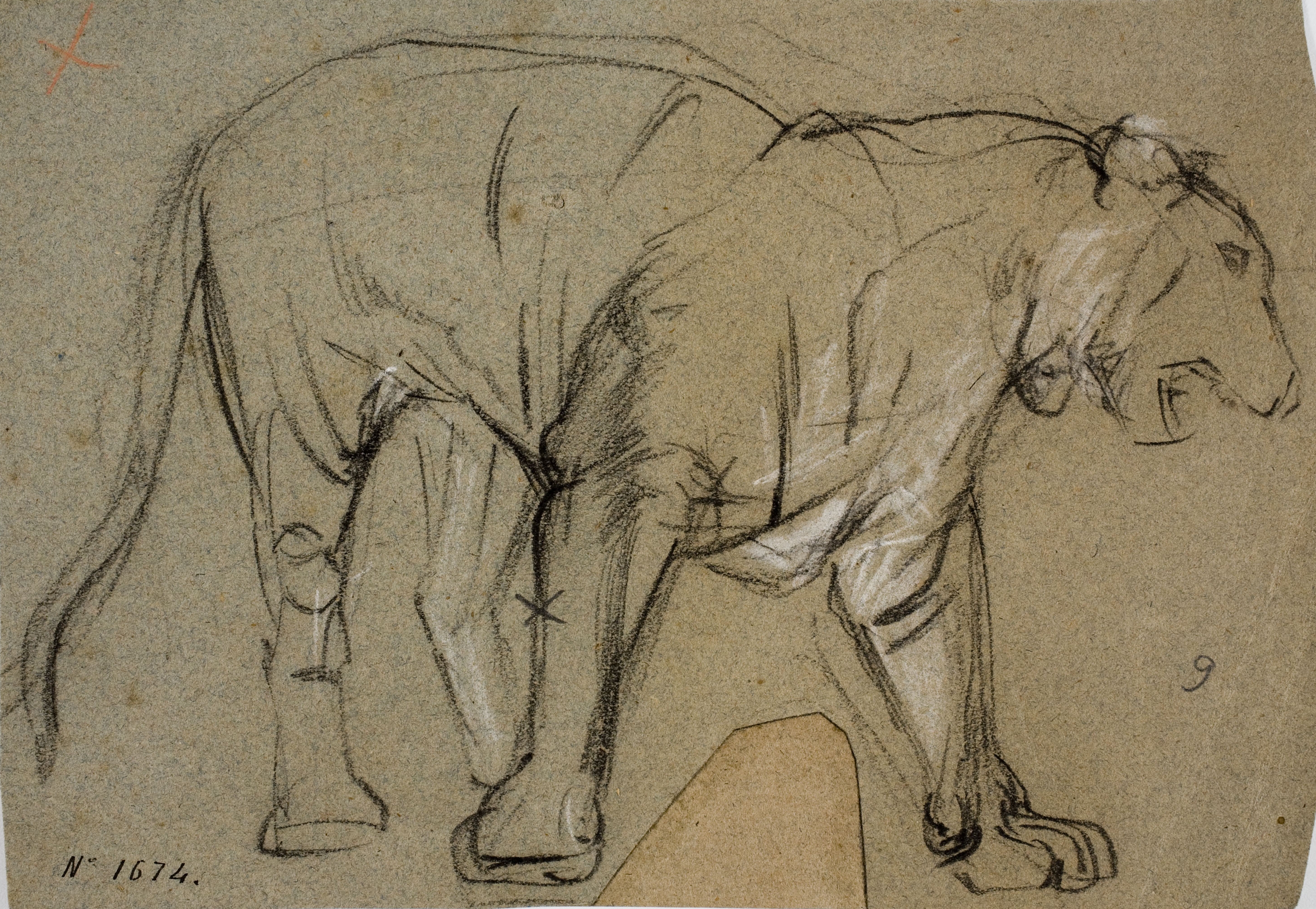 image for: Ramon Martí i Alsina - Una lleona - Cap a 1870-1880