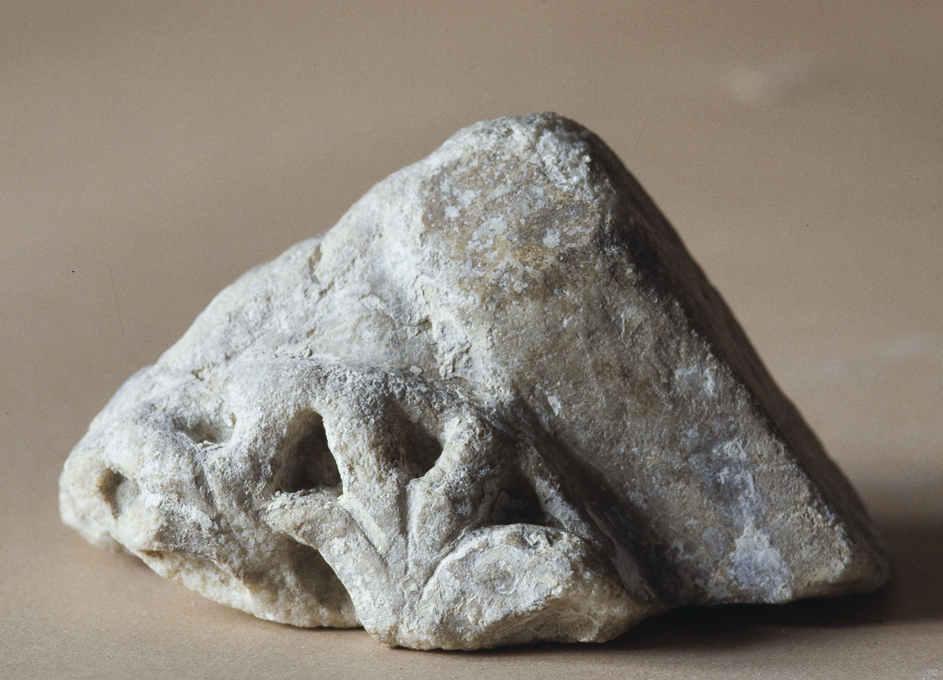 Anònim - Fragment d'àbac de capitell califal - Segle X image for: Anònim - Fragment d'àbac de capitell califal - Segle X