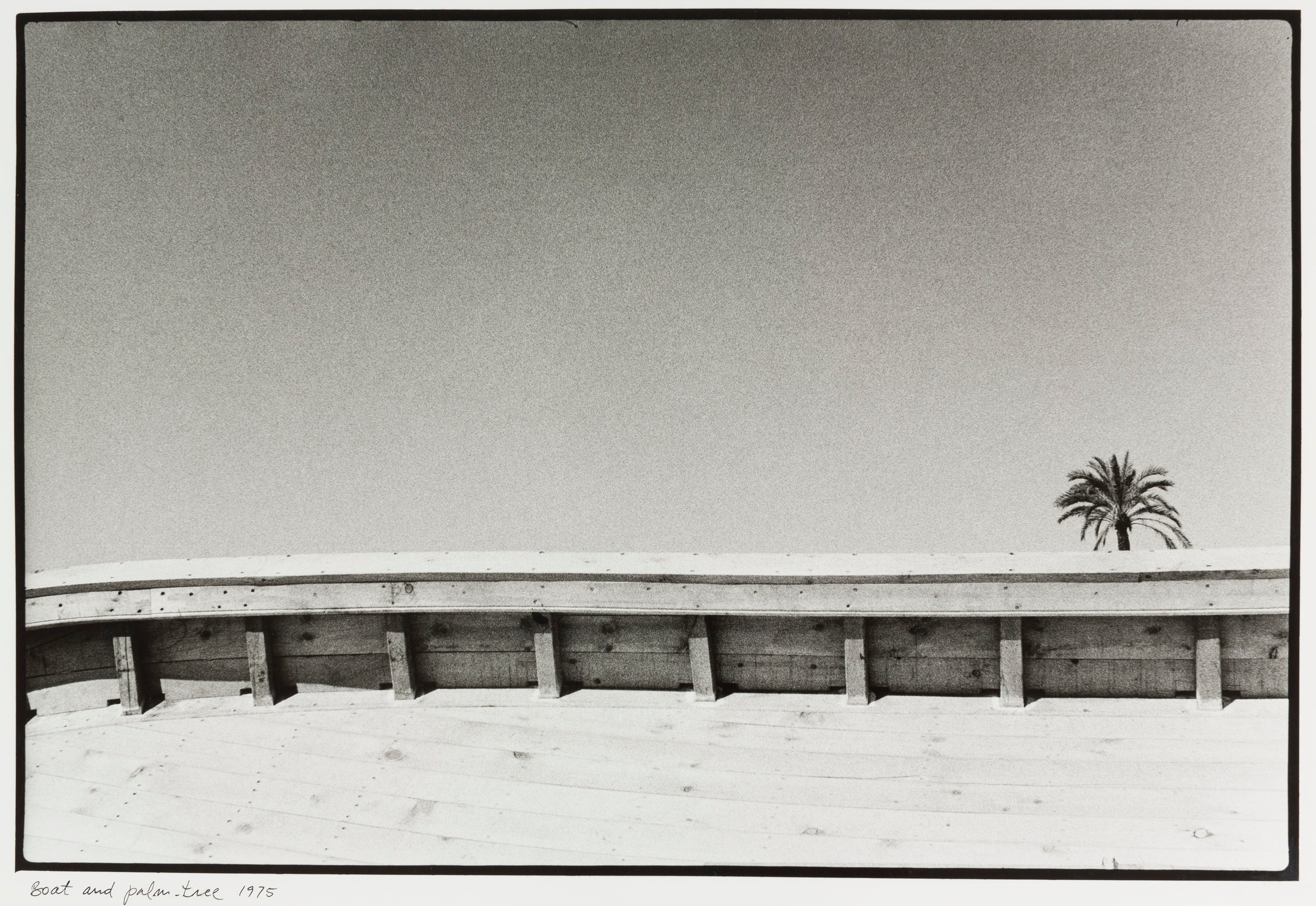 image for: Josep Rigol - Boat and palm-tree (Sitges) - 1975 (tiratge 1981)