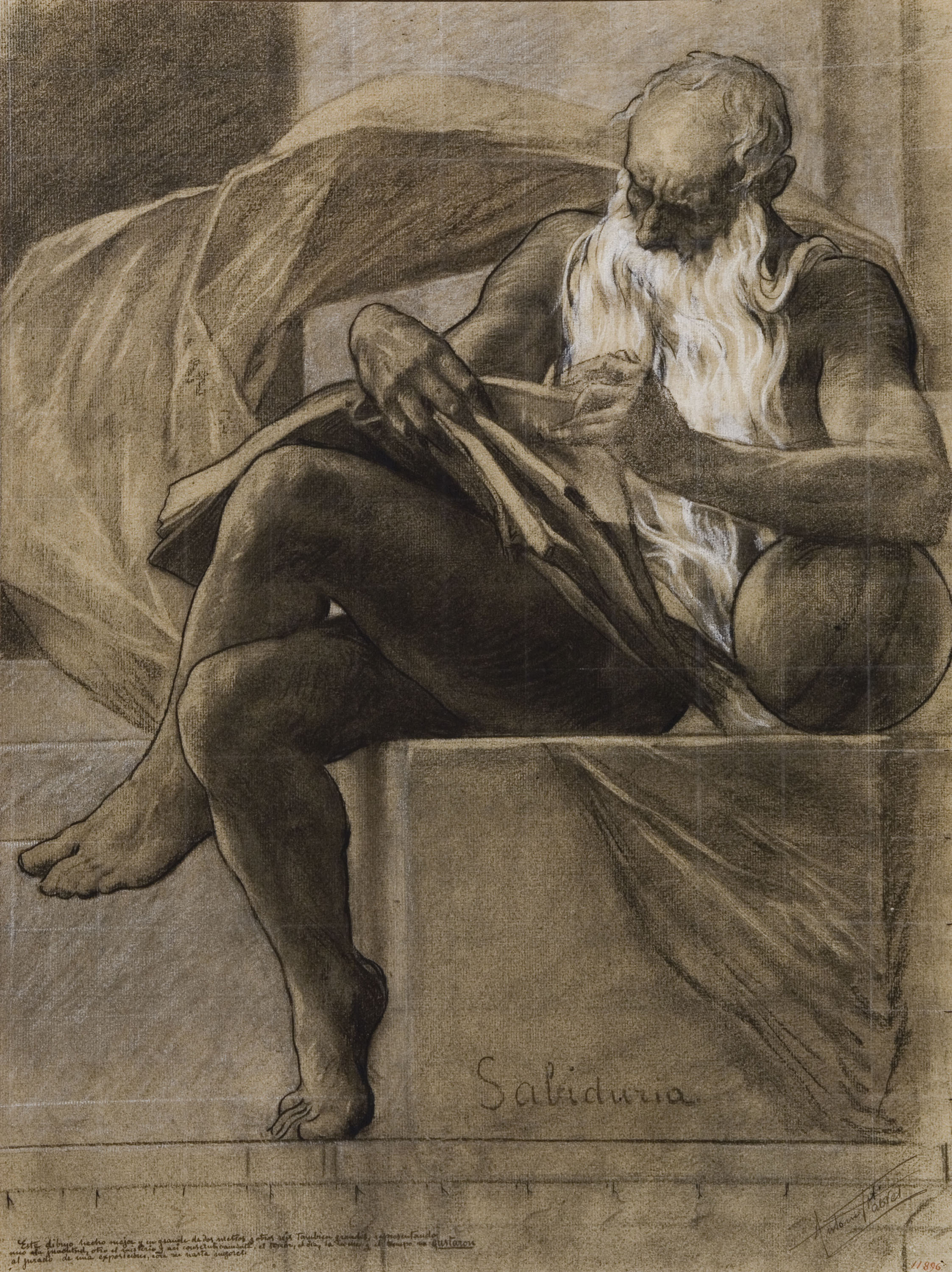 Antoni Fabrés - Estudi per al dibuix «Sapientia» - Cap a 1908-1910 image for: Antoni Fabrés - Estudi per al dibuix «Sapientia» - Cap a 1908-1910