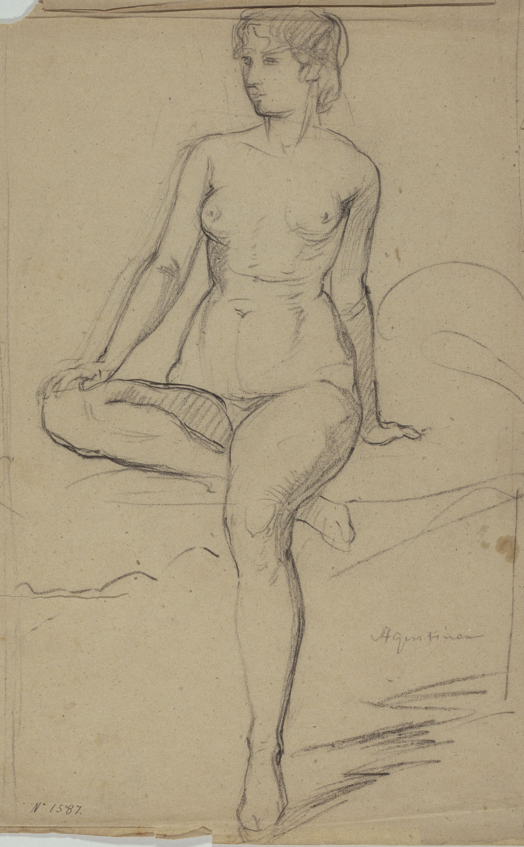 image for: Ramon Martí i Alsina - Agustina - Cap a 1860-1865