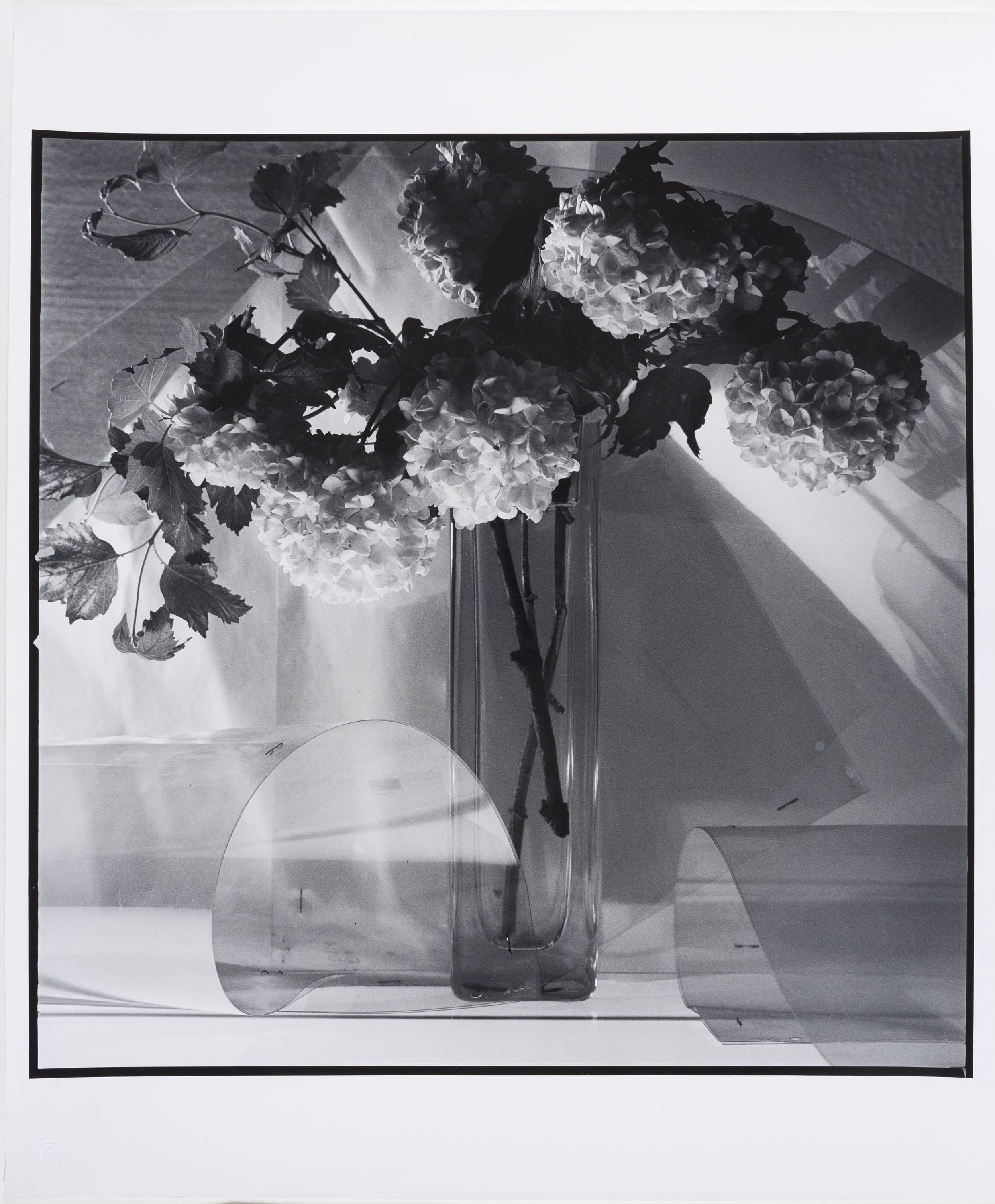 image for: Toni Catany - Natura morta - 1981 (tiratge 2000)