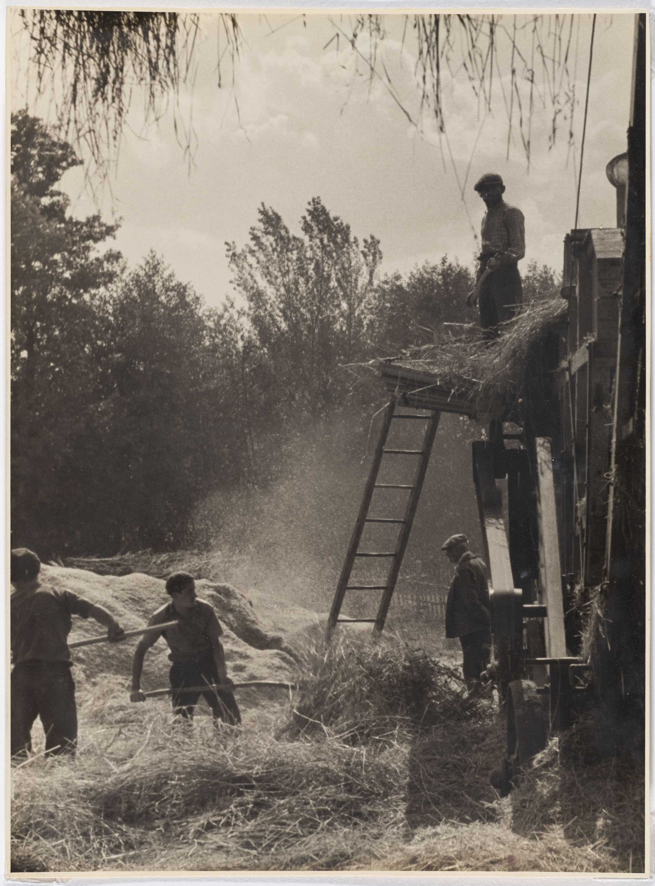 image for: Otho Lloyd - Batent - Cap a 1947