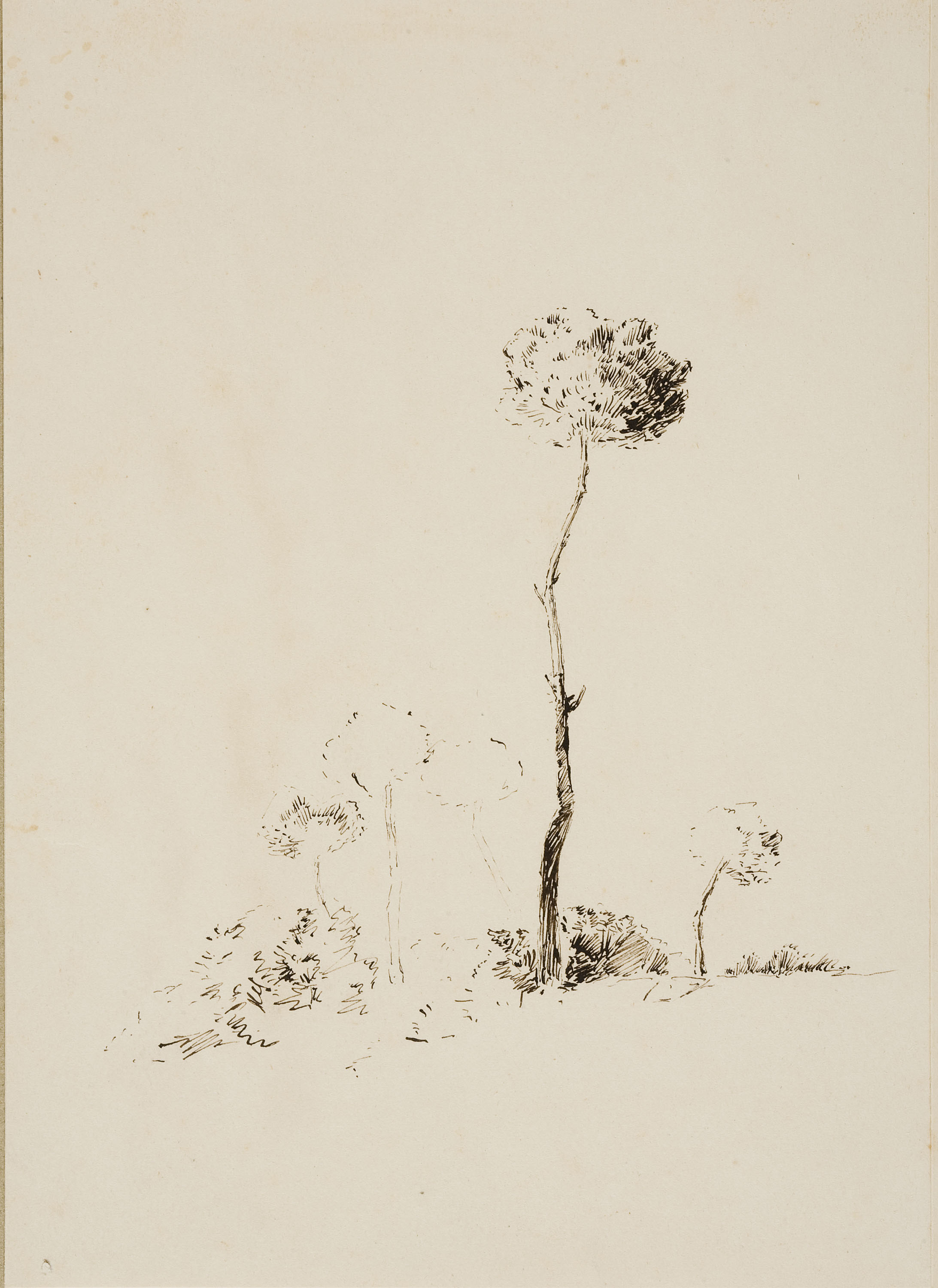 image for: Francesc Gimeno - Vista parcial del Castell-Tortosa (anvers) / Estudi d'arbres (revers) - Cap a 1878 [1]