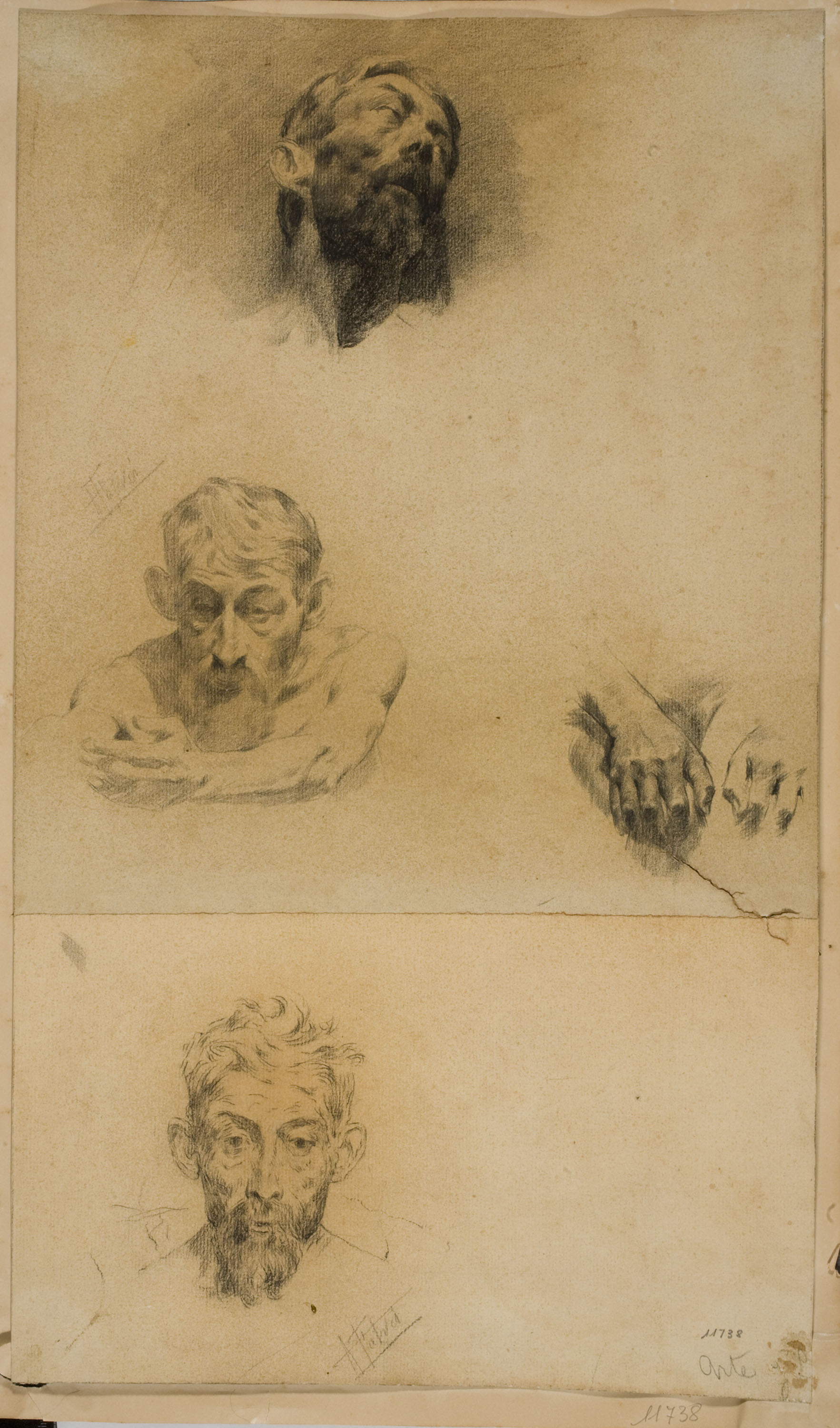 Antoni Fabrés - Estudis de cap i mans - Cap a 1902-1906 image for: Antoni Fabrés - Estudis de cap i mans - Cap a 1902-1906