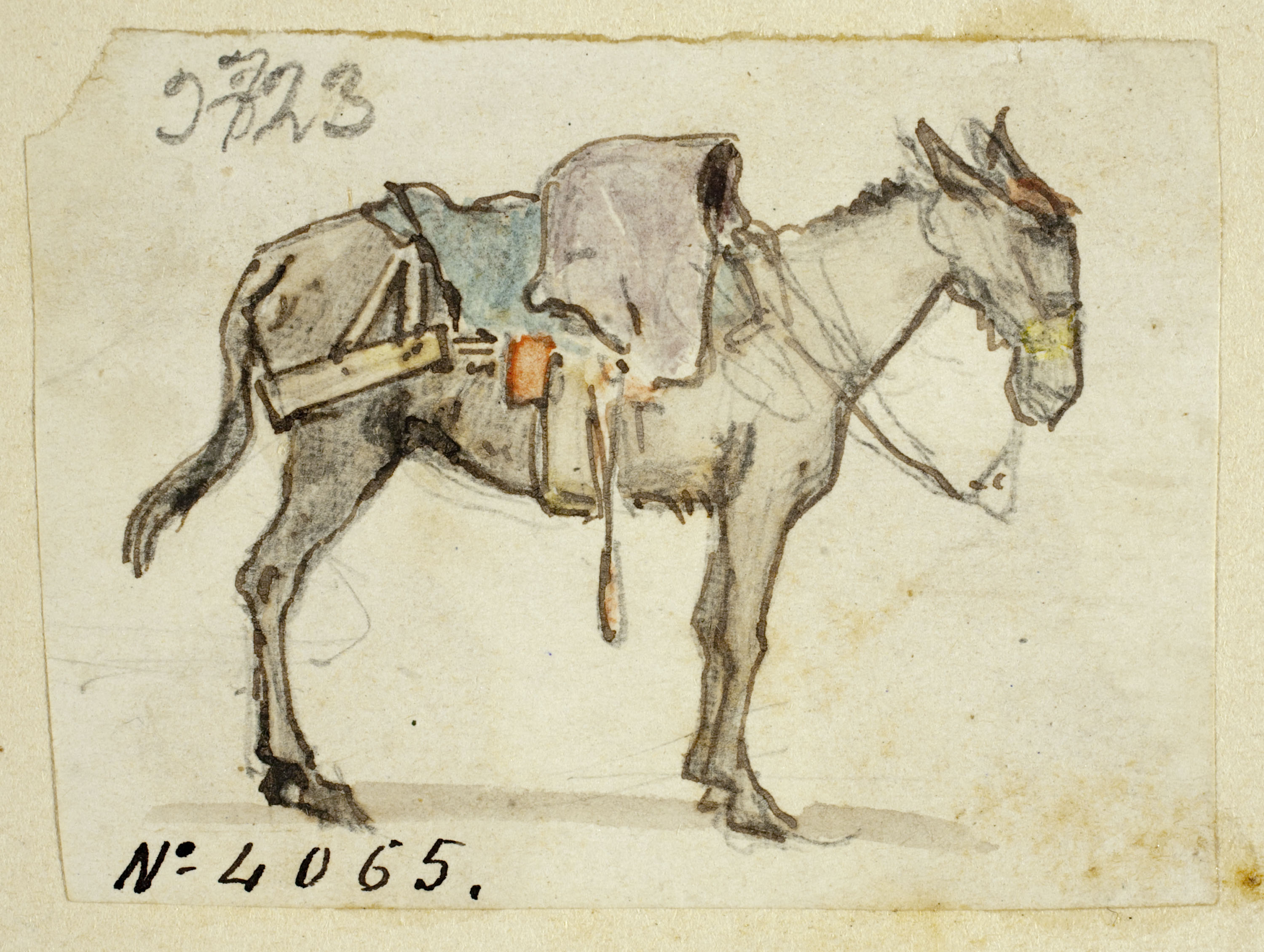 image for: Modest Urgell - Ruc - Cap a 1864