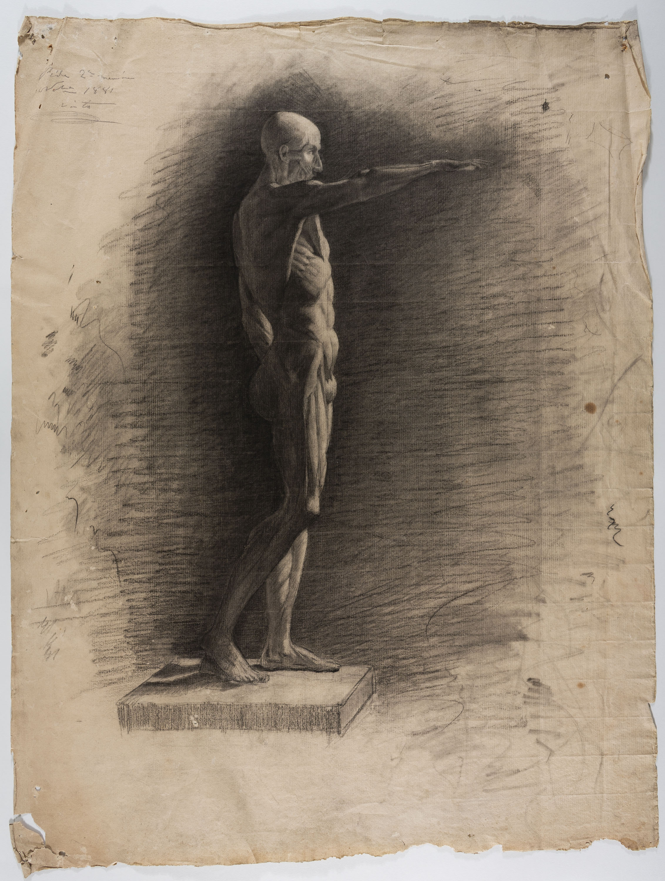 image for: Andreu Solà - Estudi d'anatomia - 1881