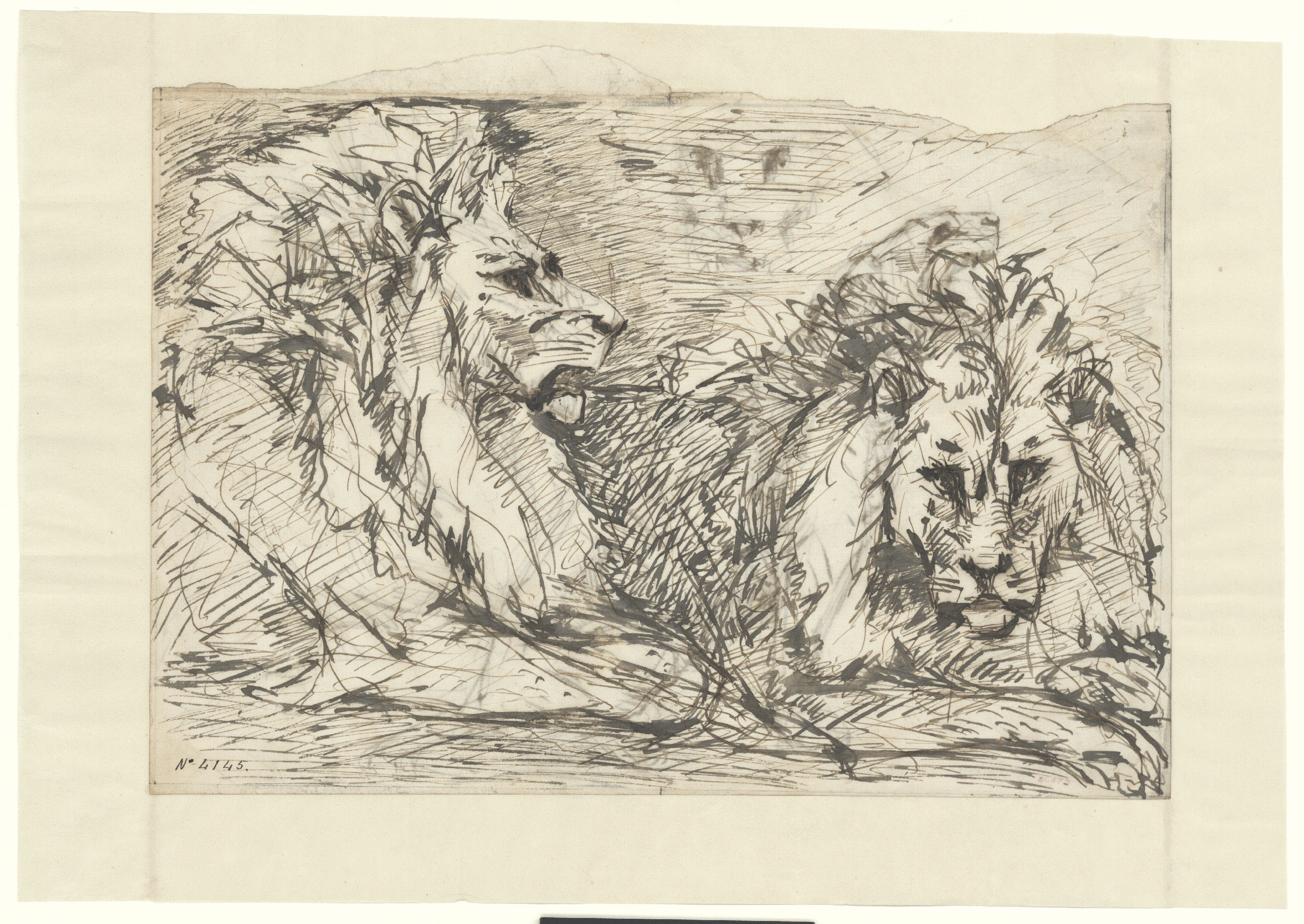 image for: Agapit Vallmitjana Abarca - Estudi de lleons - Cap a 1880-1890