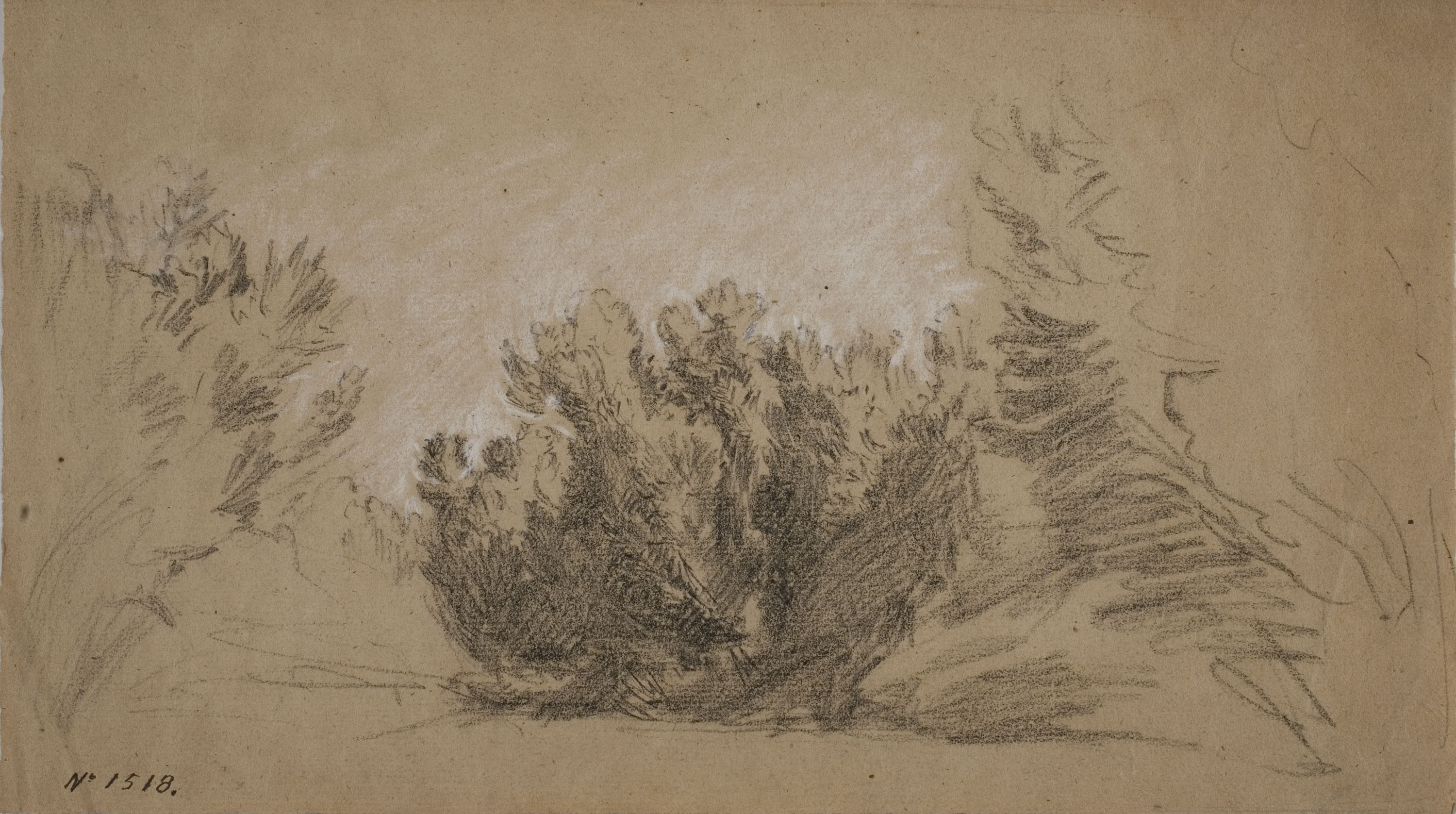 Ramon Martí i Alsina - Estudi d'un matoll - Cap a 1860-1870 image for: Ramon Martí i Alsina - Estudi d'un matoll - Cap a 1860-1870