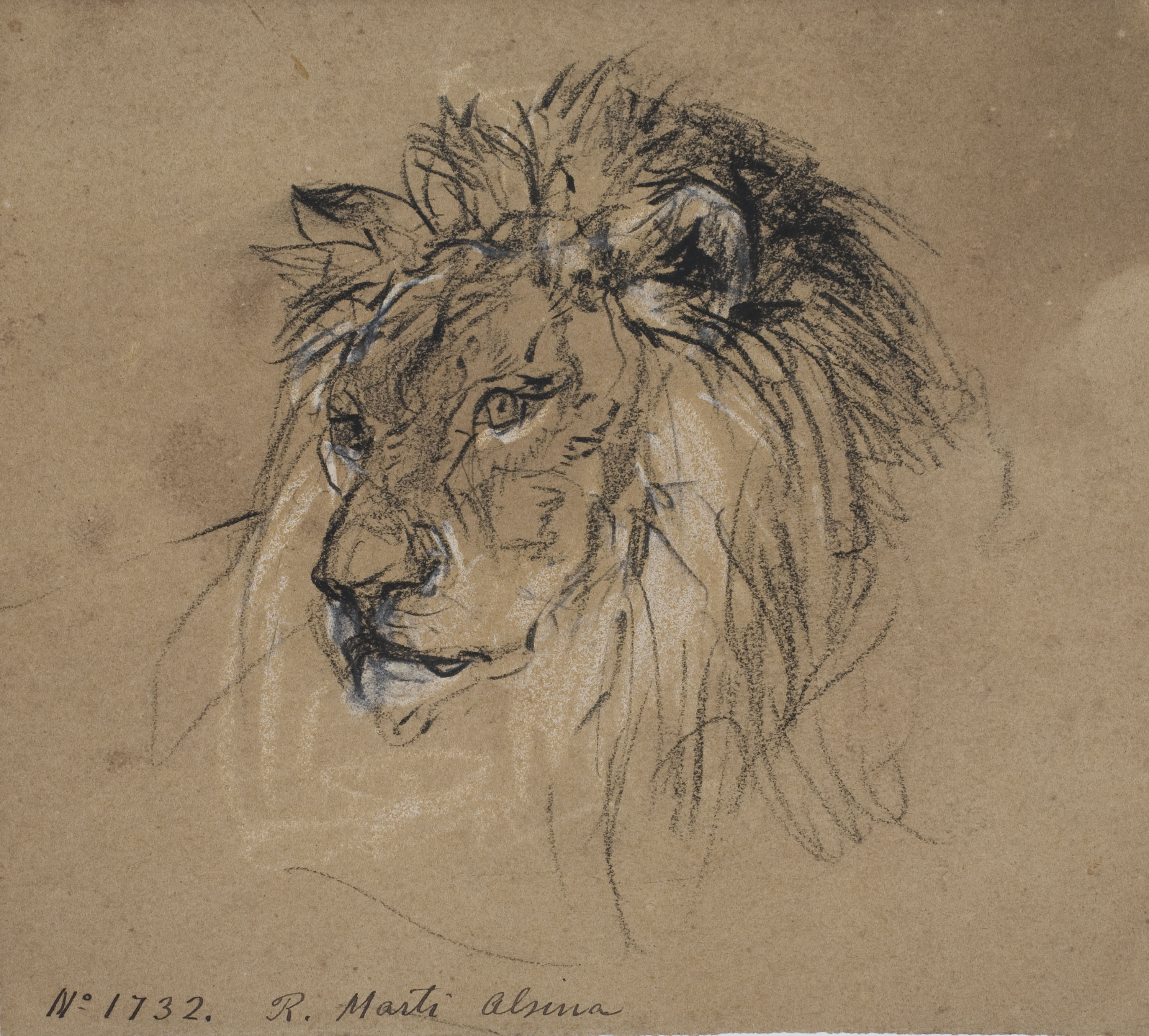 image for: Ramon Martí i Alsina - Cap de lleó - Cap a 1870-1880