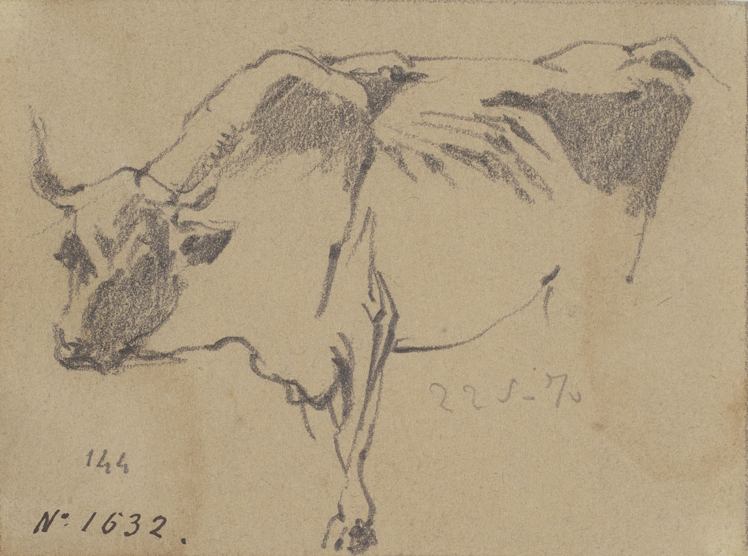 Ramon Martí i Alsina - Apunt d'un bou - 22 de maig de 1870 image for: Ramon Martí i Alsina - Apunt d'un bou - 22 de maig de 1870