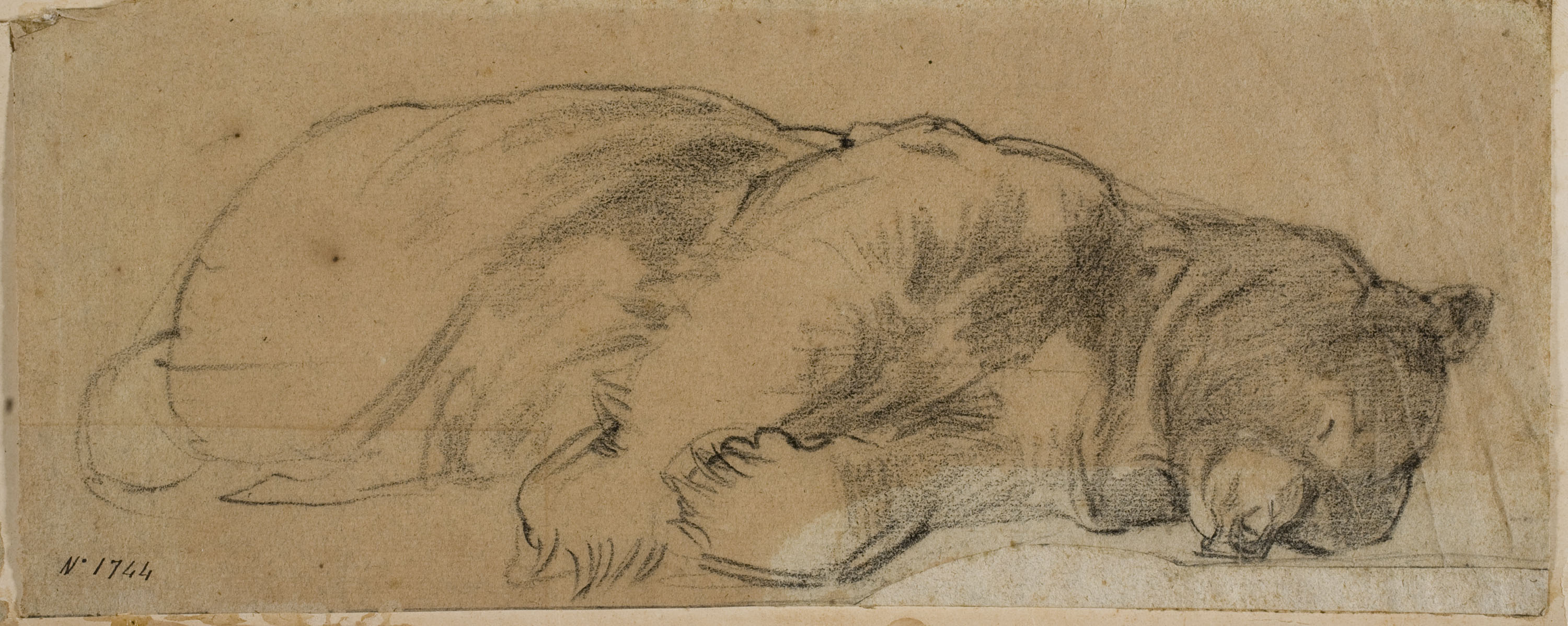 Ramon Martí i Alsina - Un ós dormint - Cap a 1870-1880 image for: Ramon Martí i Alsina - Un ós dormint - Cap a 1870-1880