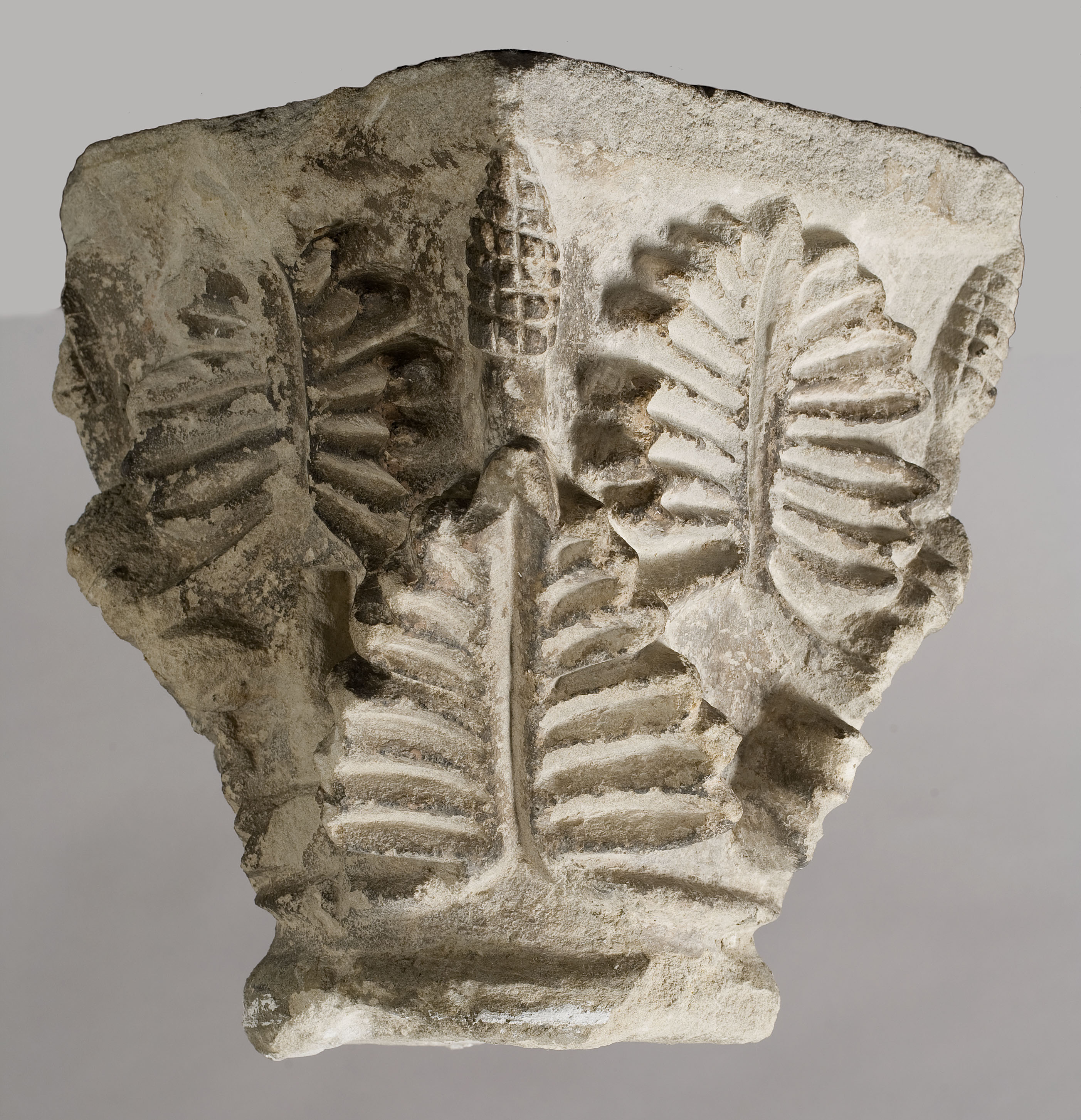 image for: Anònim - Capitell amb decoració de grans fulles i petites pinyes - Segle XIII