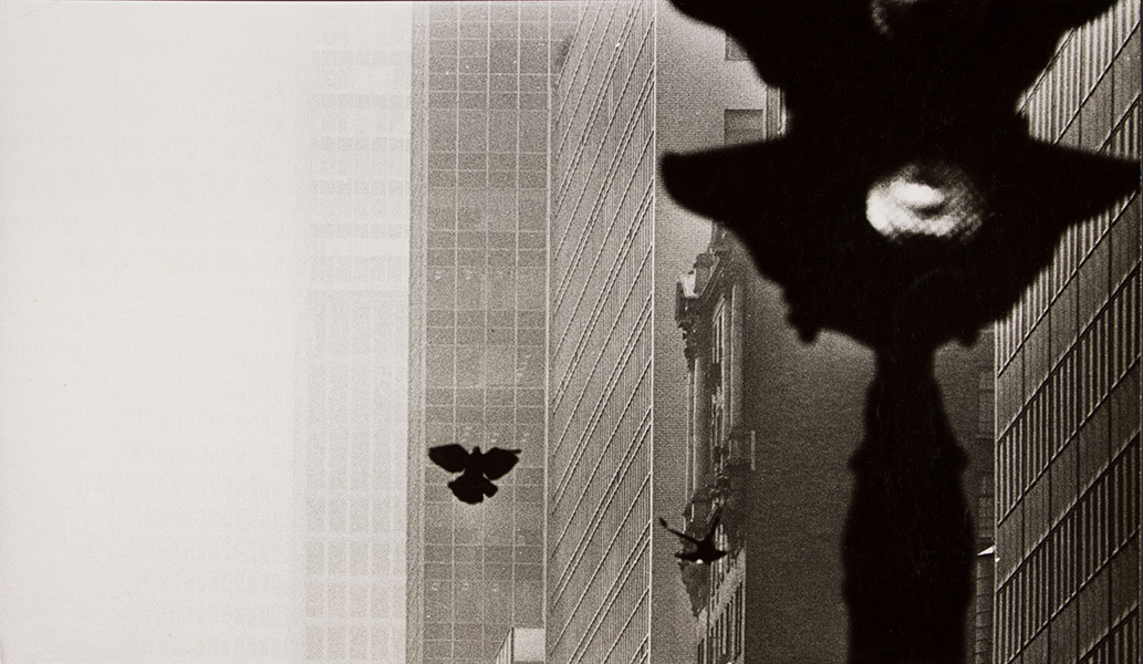 image for: Oriol Maspons - Fotografia per al llibre «Poeta en Nueva York », de Federico García Lorca - 1965