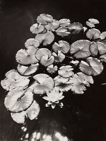 Oriol Maspons - Sense títol - Cap a 1959 image for: Oriol Maspons - Sense títol - Cap a 1959