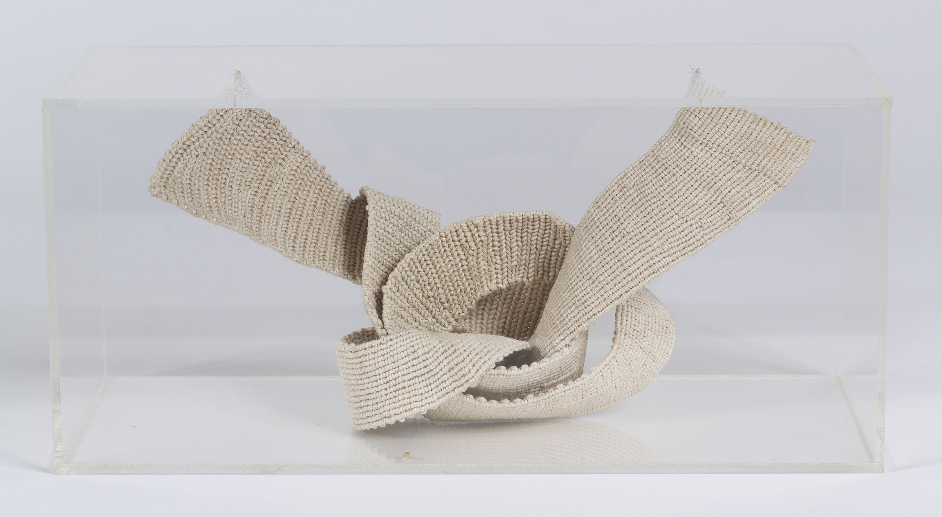 image for: Aurèlia Muñoz - Nus - 1978