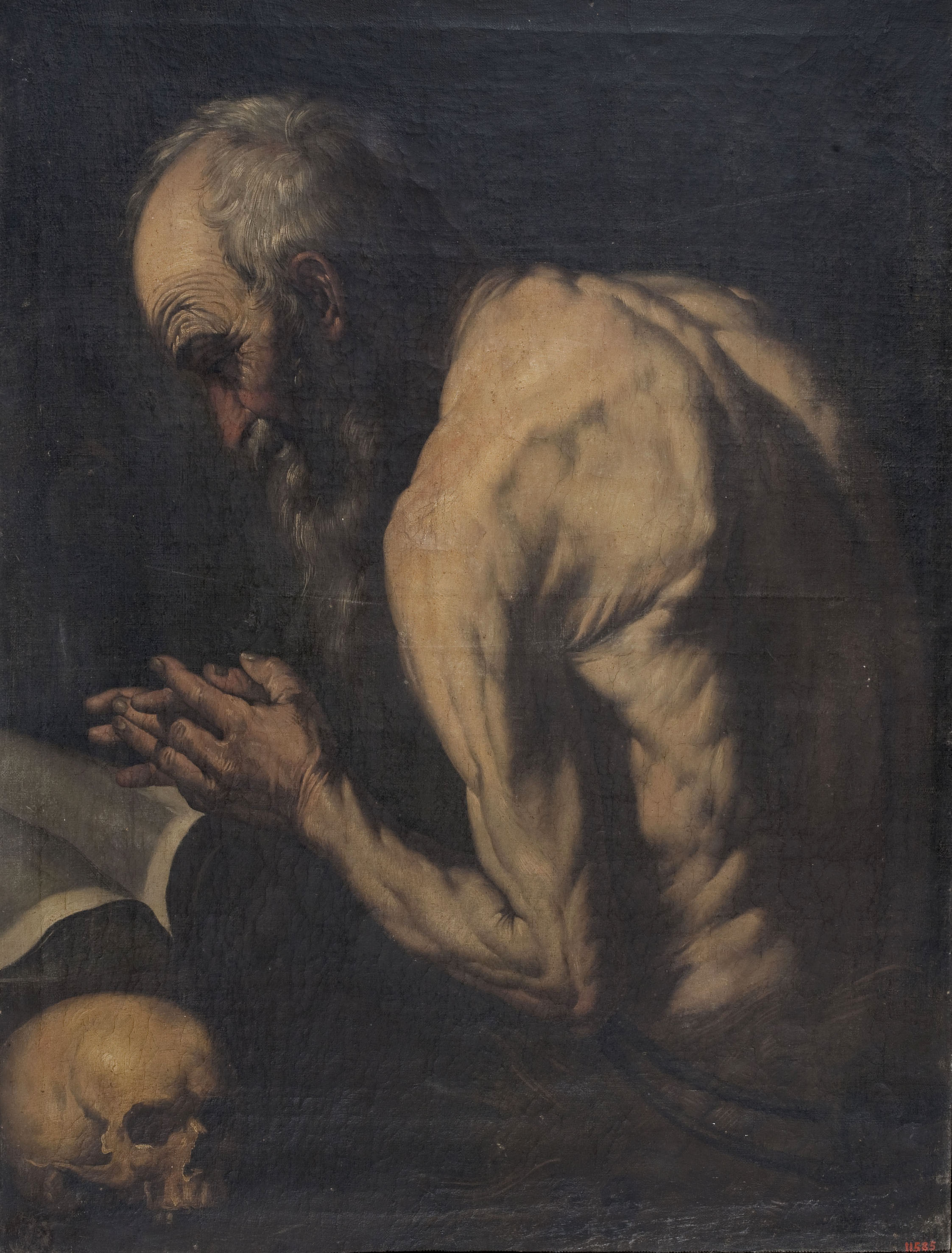 image for: Anònim - Sant Pau ermità (a partir d'un Josep de Ribera) - Entre 1650-1800