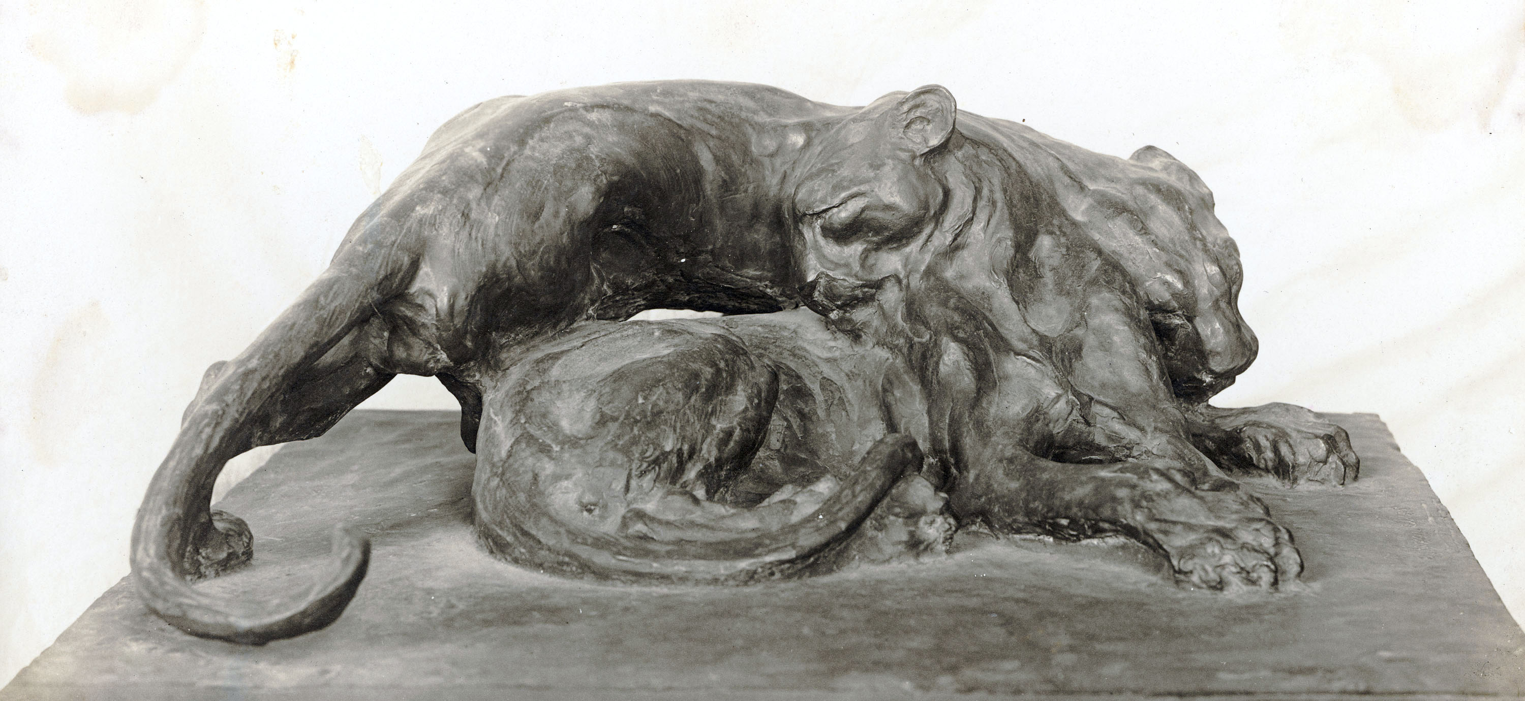 image for: Sirio Tofanari - Carícies - 1909