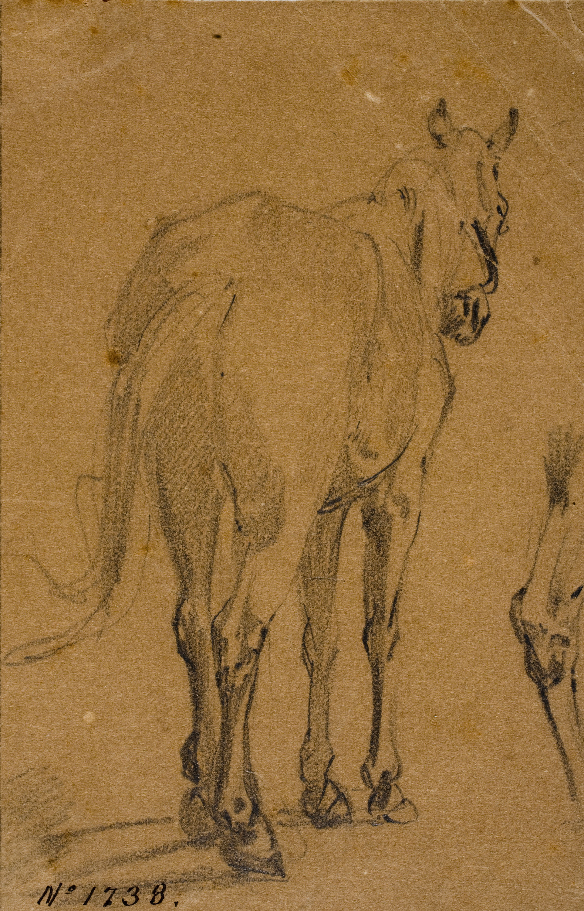 image for: Ramon Martí i Alsina - Cavall d'esquena - Cap a 1855-1860