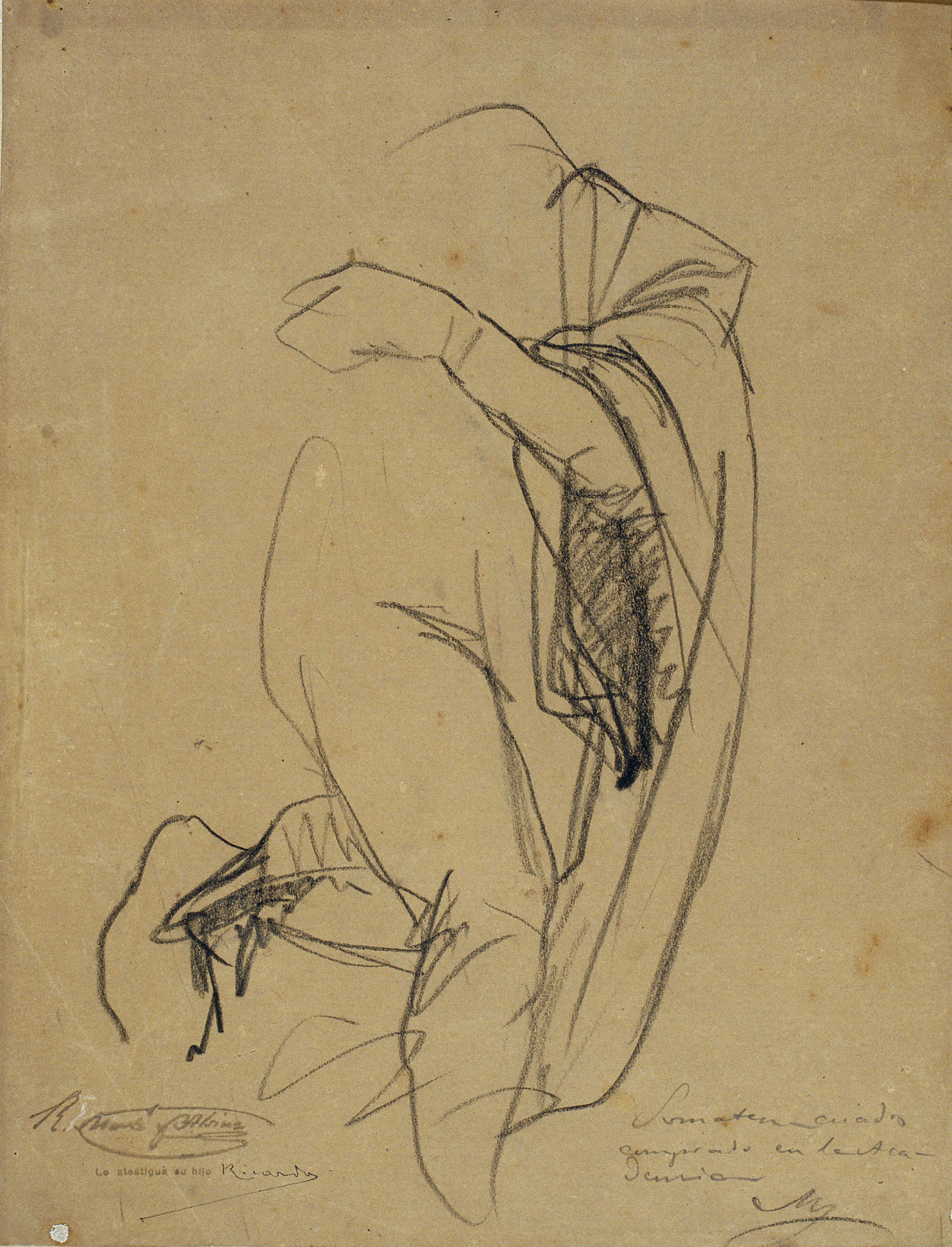 image for: Ramon Martí i Alsina - Estudi de cos sense cap drapejat per al quadre «El Sometent del Bruc» - Cap a 1866