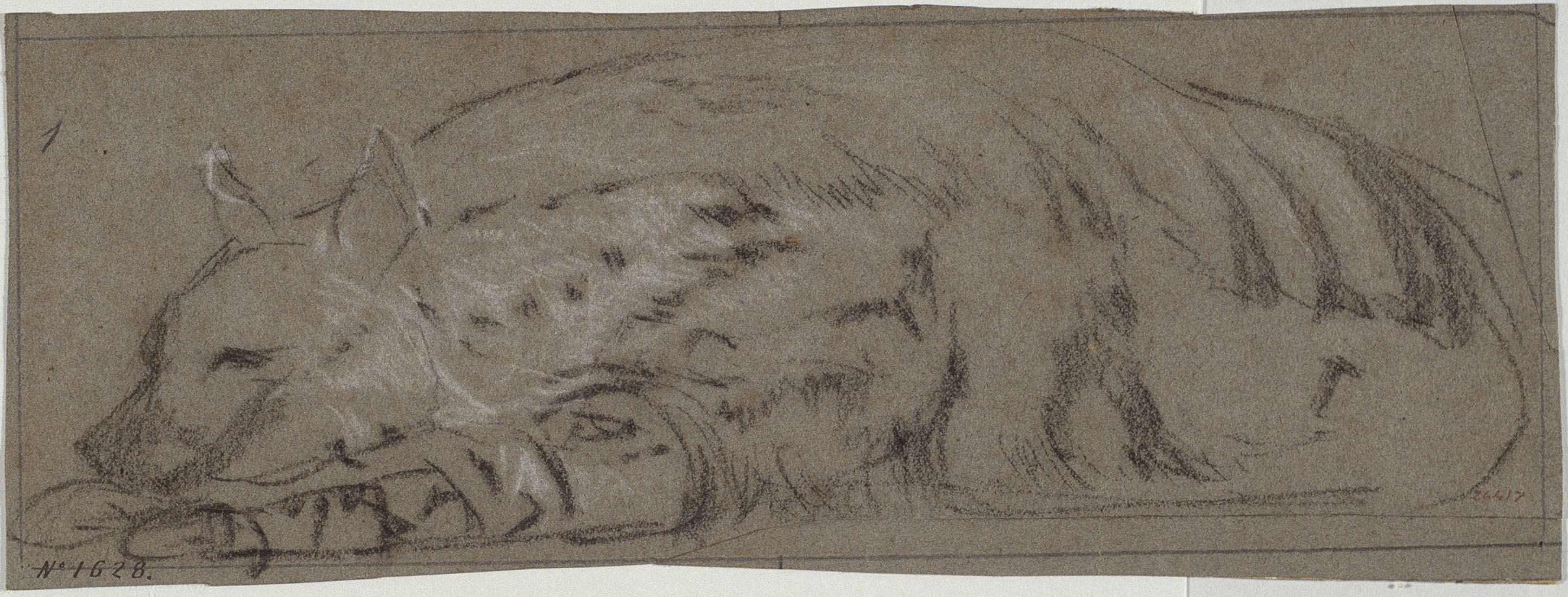 image for: Ramon Martí i Alsina - Una guineu descansant - Cap a 1862