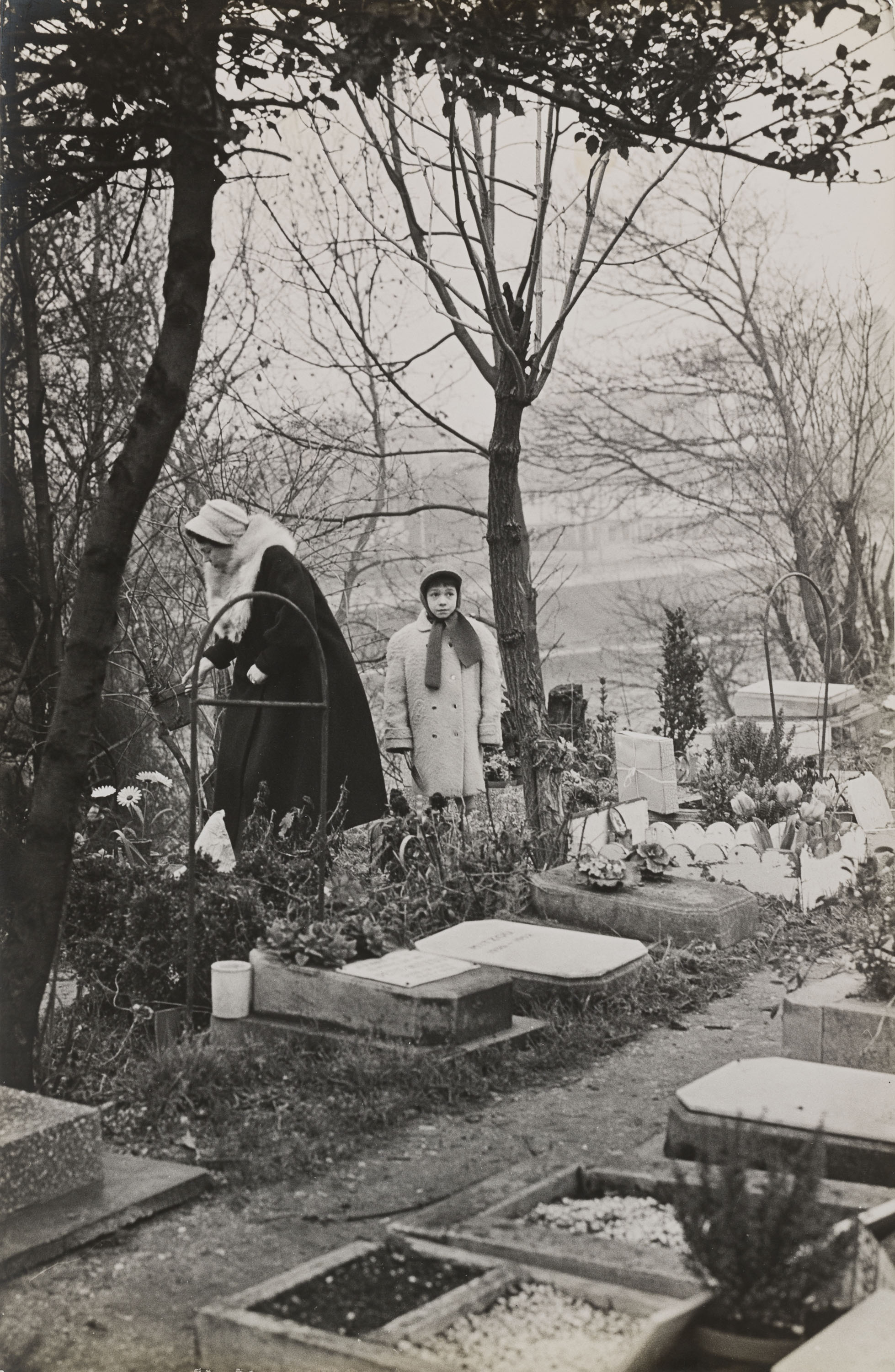 Oriol Maspons - Sense títol (Cementiri de gossos, París) - 1958 image for: Oriol Maspons - Sense títol (Cementiri de gossos, París) - 1958