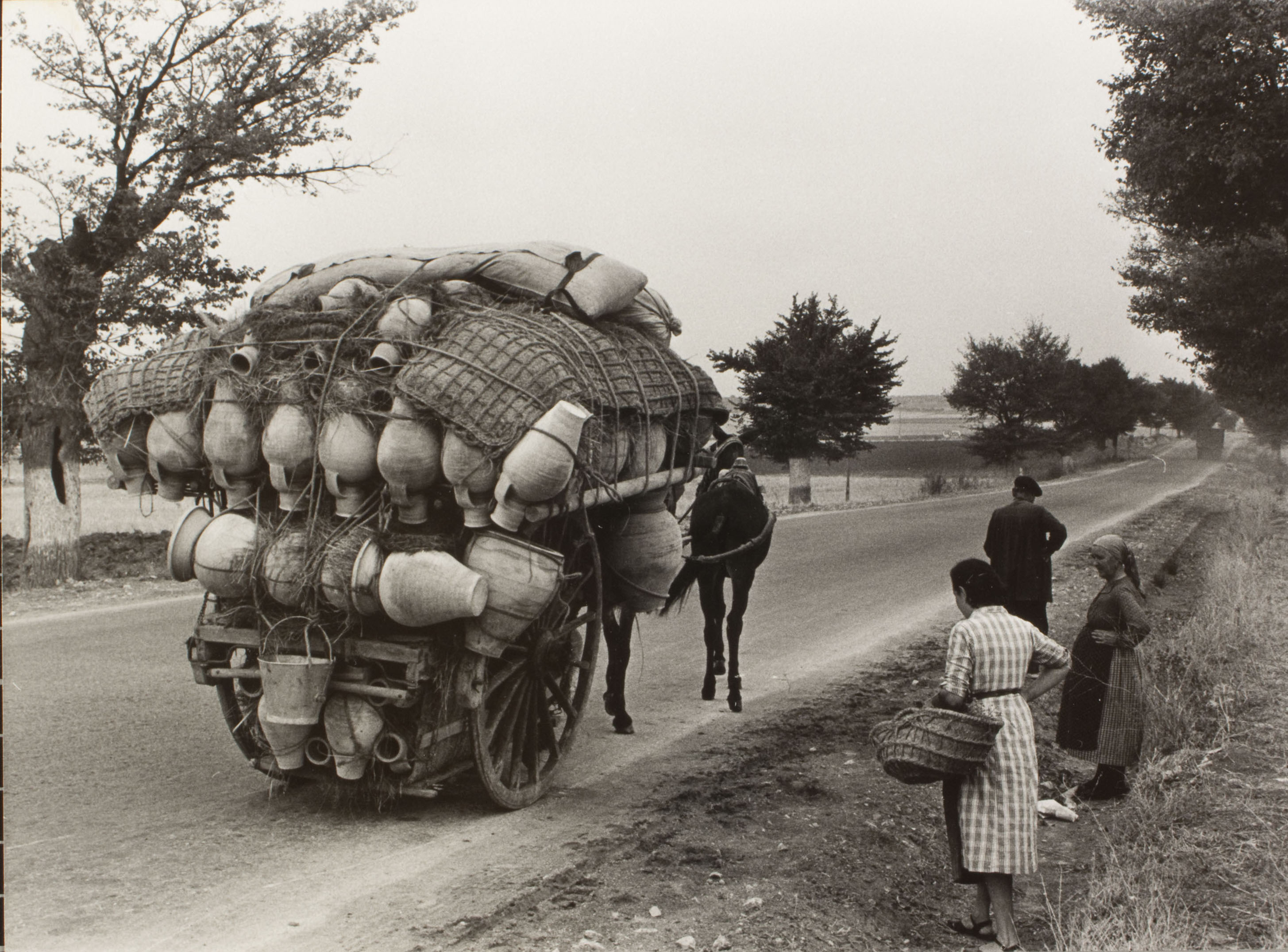 image for: Oriol Maspons - Sense títol (La Manxa. Fotografia per al llibre «Tierra de Olivos», d'Antonio Ferres) - 1961