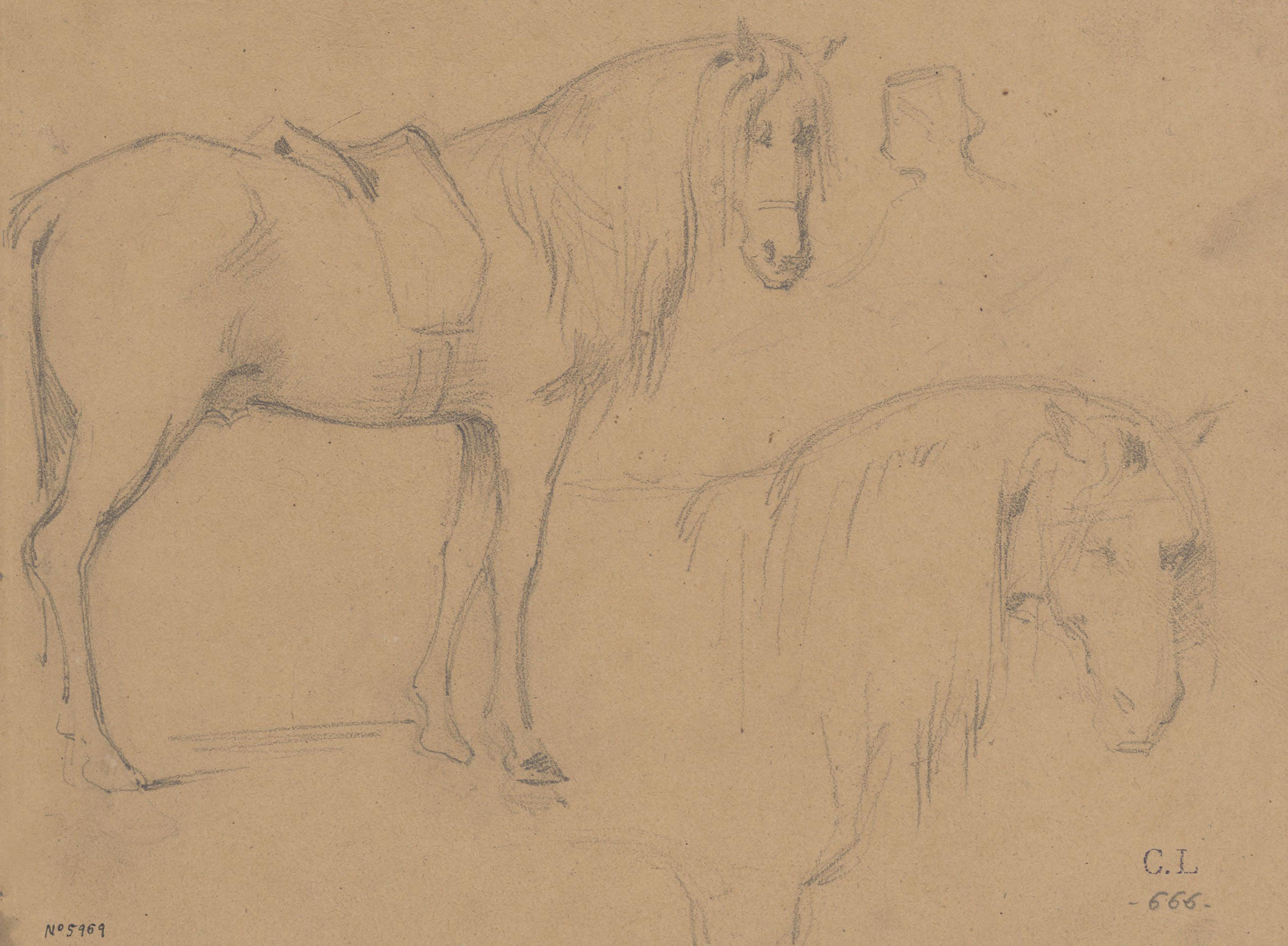 image for: Claudi Lorenzale - Estudis de cavall - Cap a 1850-1870