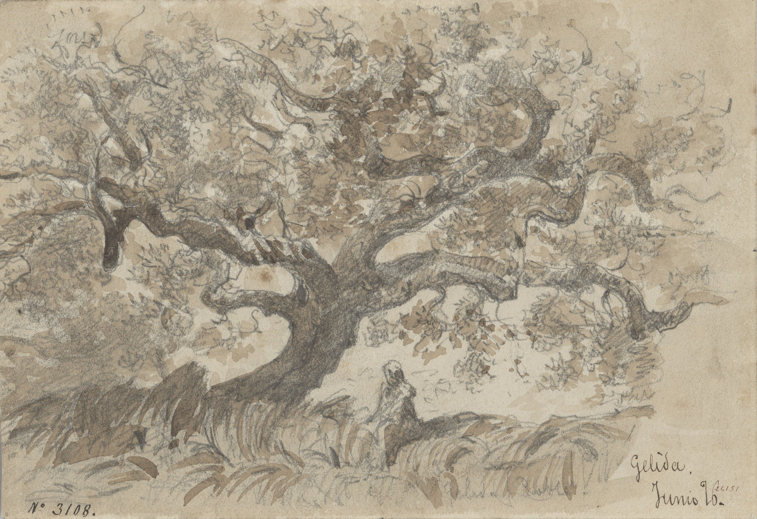 image for: Lluís Rigalt - Gelida - Juny de 1890