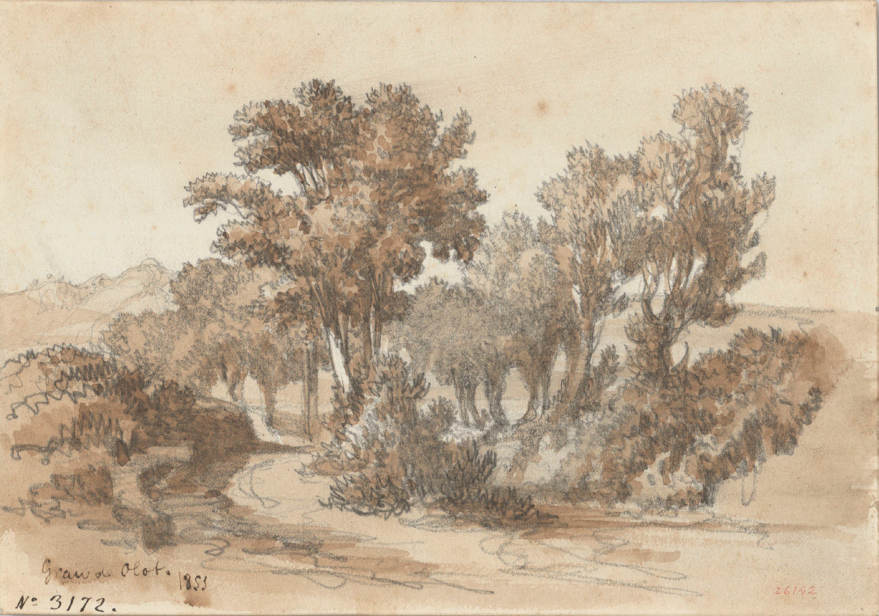 image for: Lluís Rigalt - Grau de Olot - 1851