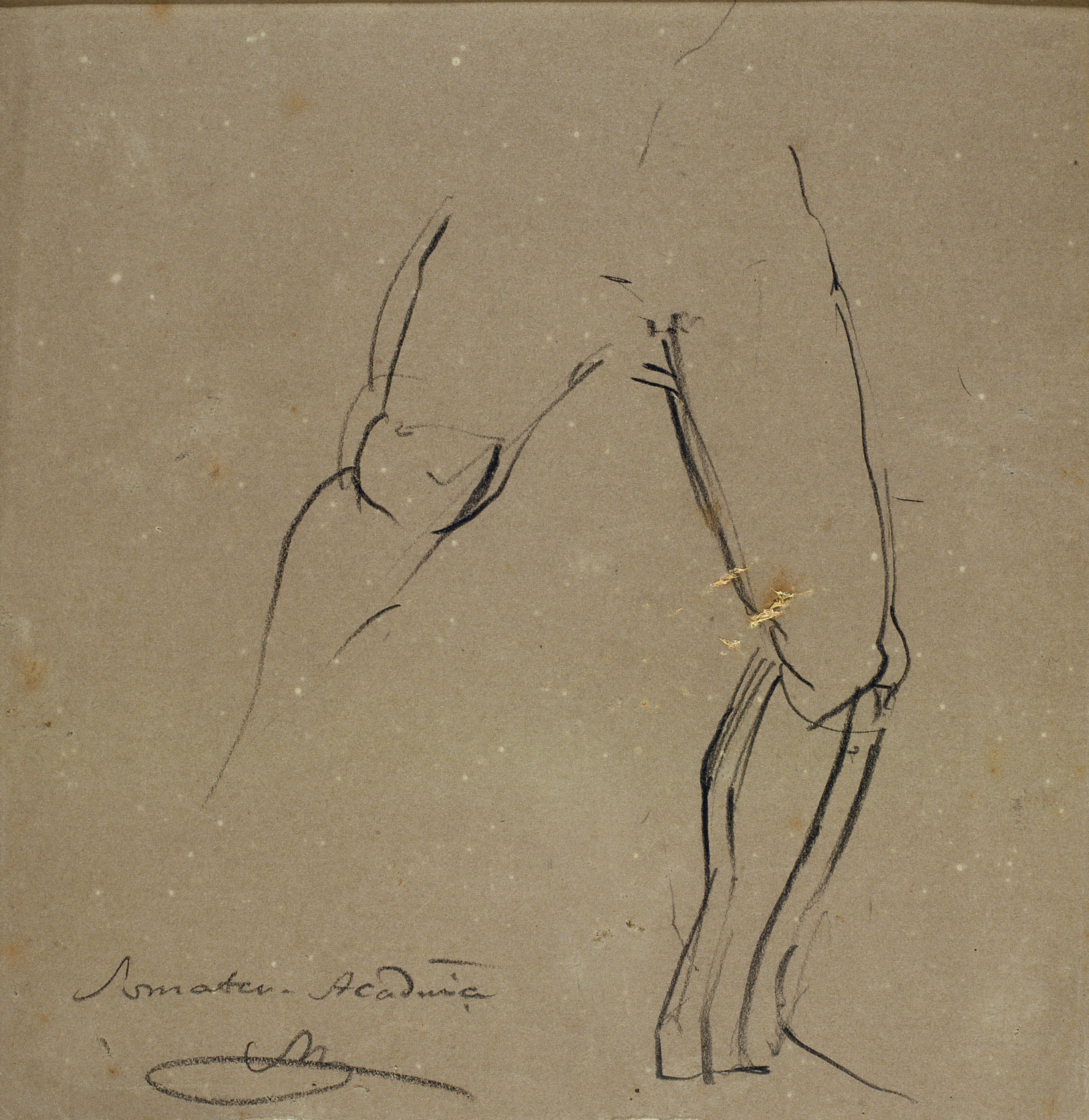image for: Ramon Martí i Alsina - Estudi de part inferior del cos per al quadre «El Somatent del Bruc» - Cap a 1866