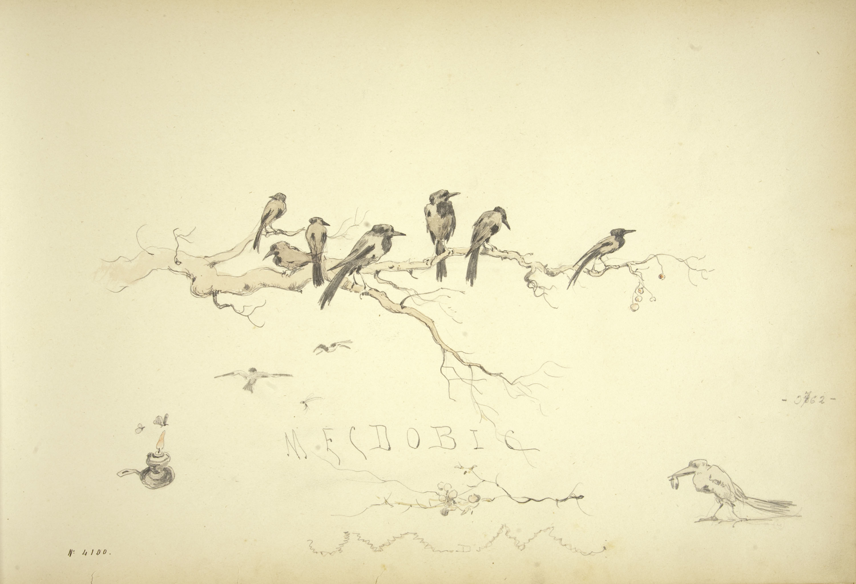 image for: Modest Urgell - Ocells i altres apunts - Cap a 1880