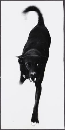 Carme García de Ferrando - Sense títol - No datat image for: Carme García de Ferrando - Sense títol - No datat