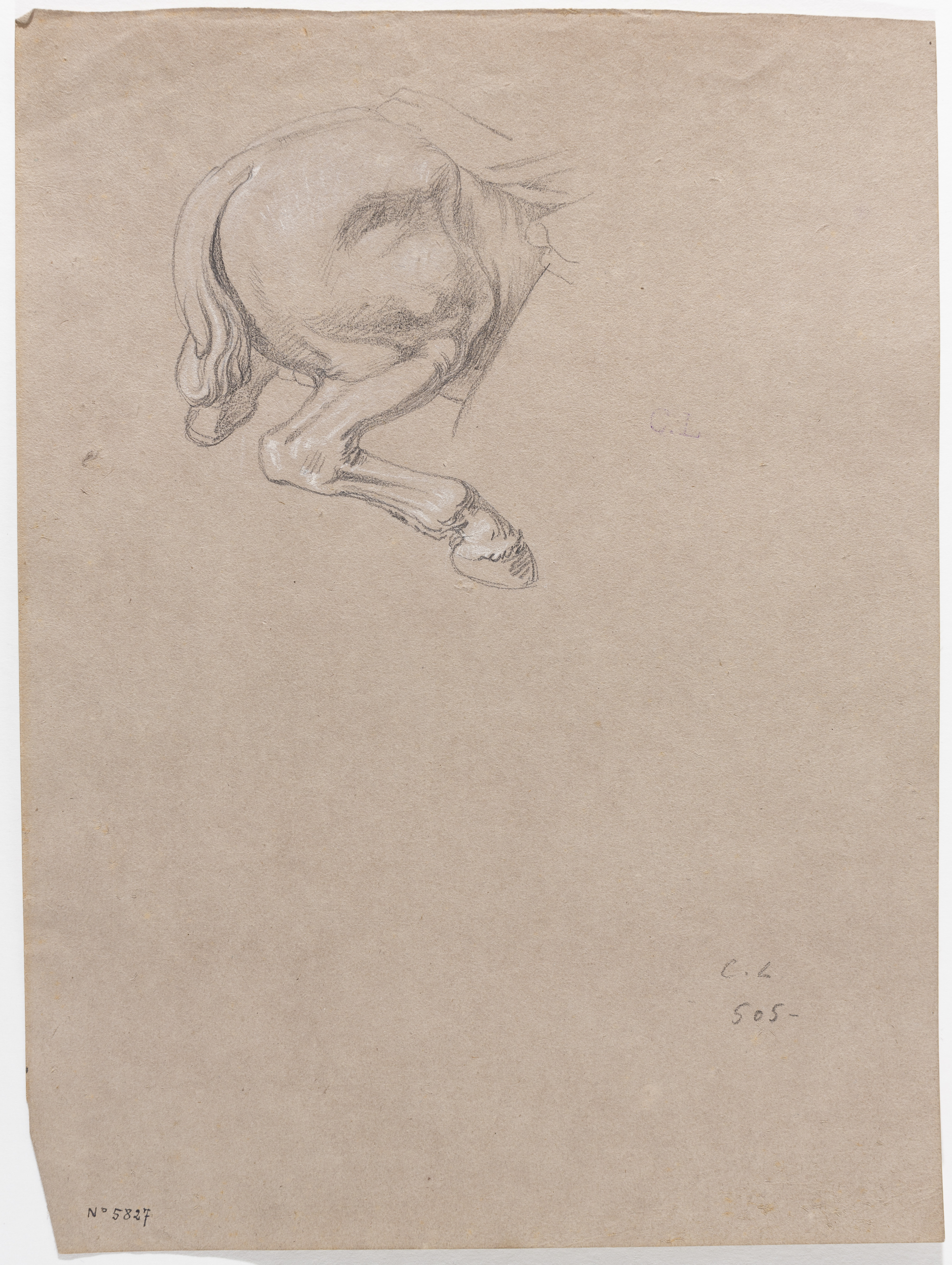 image for: Claudi Lorenzale - Estudi de la part del darrere d'un cavall - Cap a 1840-1860