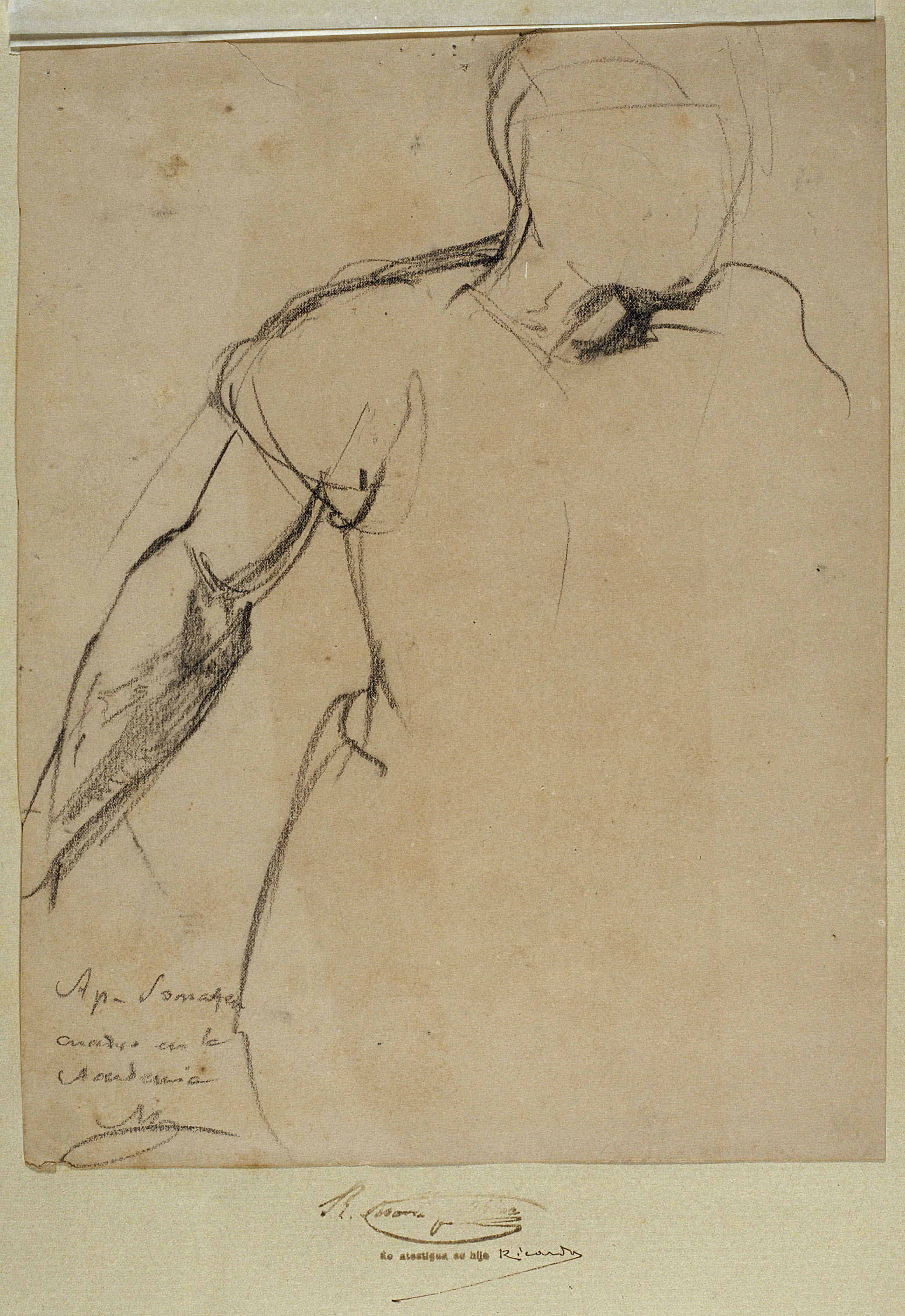 image for: Ramon Martí i Alsina - Part superior de figura femenina per al quadre El Sometent del Bruc - Cap a 1866