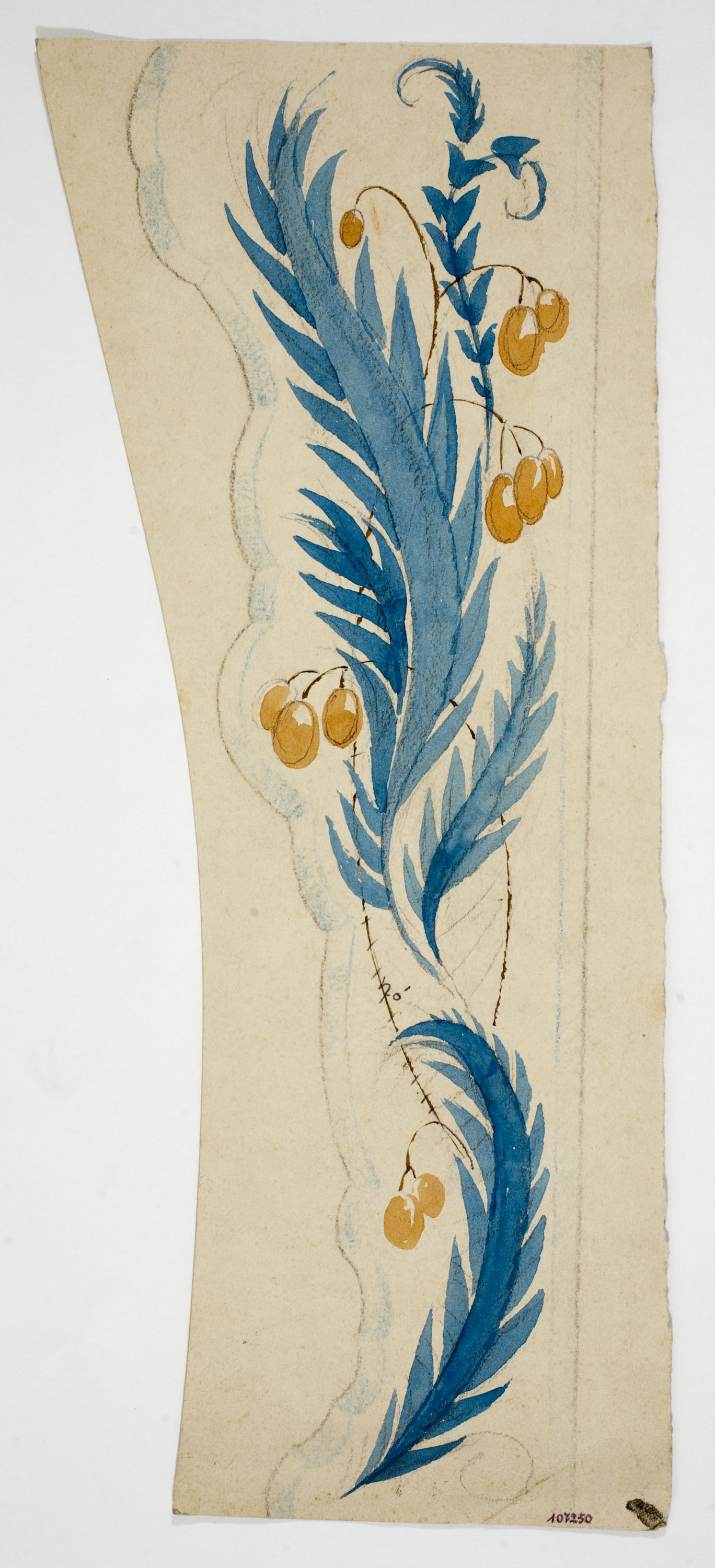 Xavier Nogués - Motius vegetals. Estud preparatori per a la decoració d'un mirall - Cap a 1924-1928 image for: Xavier Nogués - Motius vegetals. Estud preparatori per a la decoració d'un mirall - Cap a 1924-1928