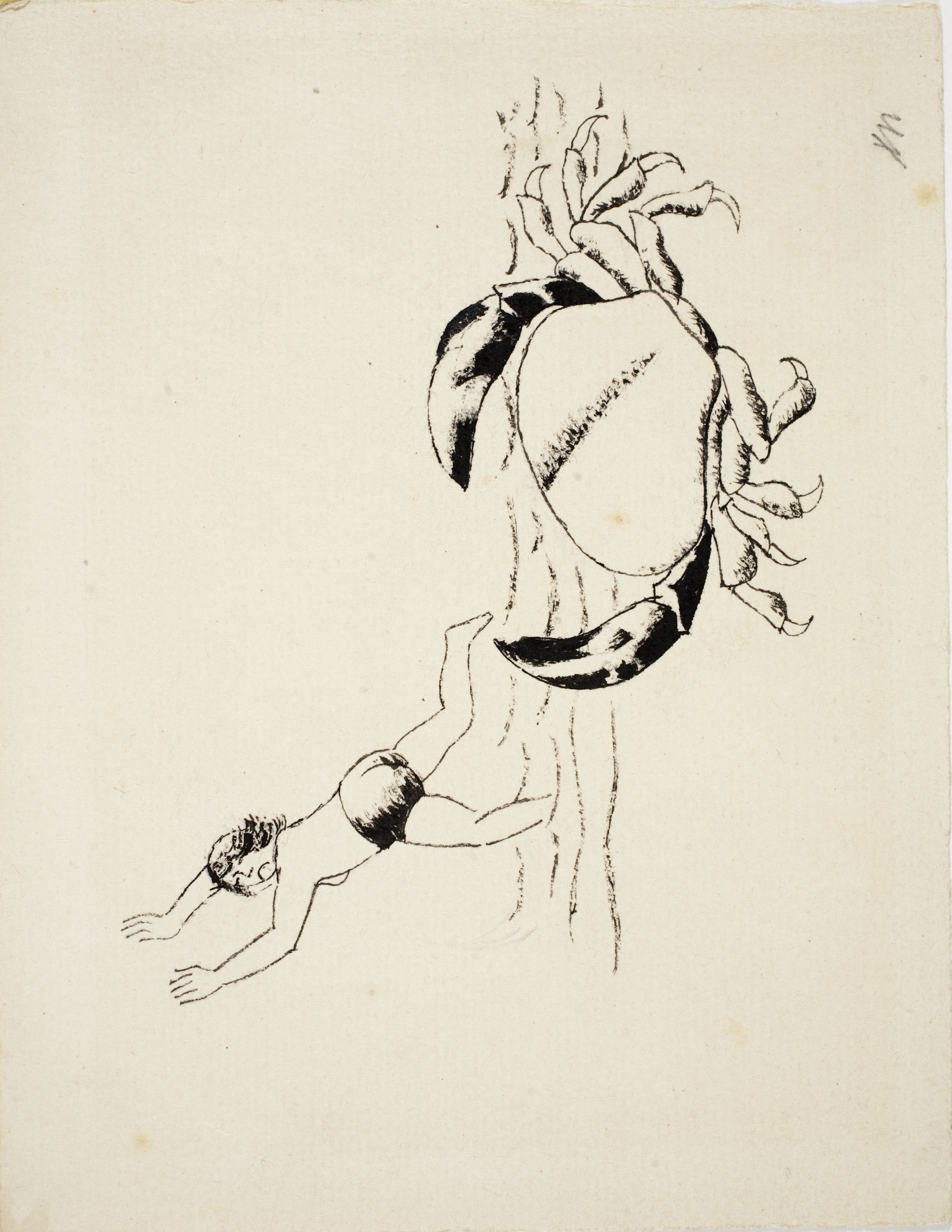 image for: Xavier Nogués - Cranc (il·lustració per al «Bestiari» de Joan Oliver) - Cap a 1937