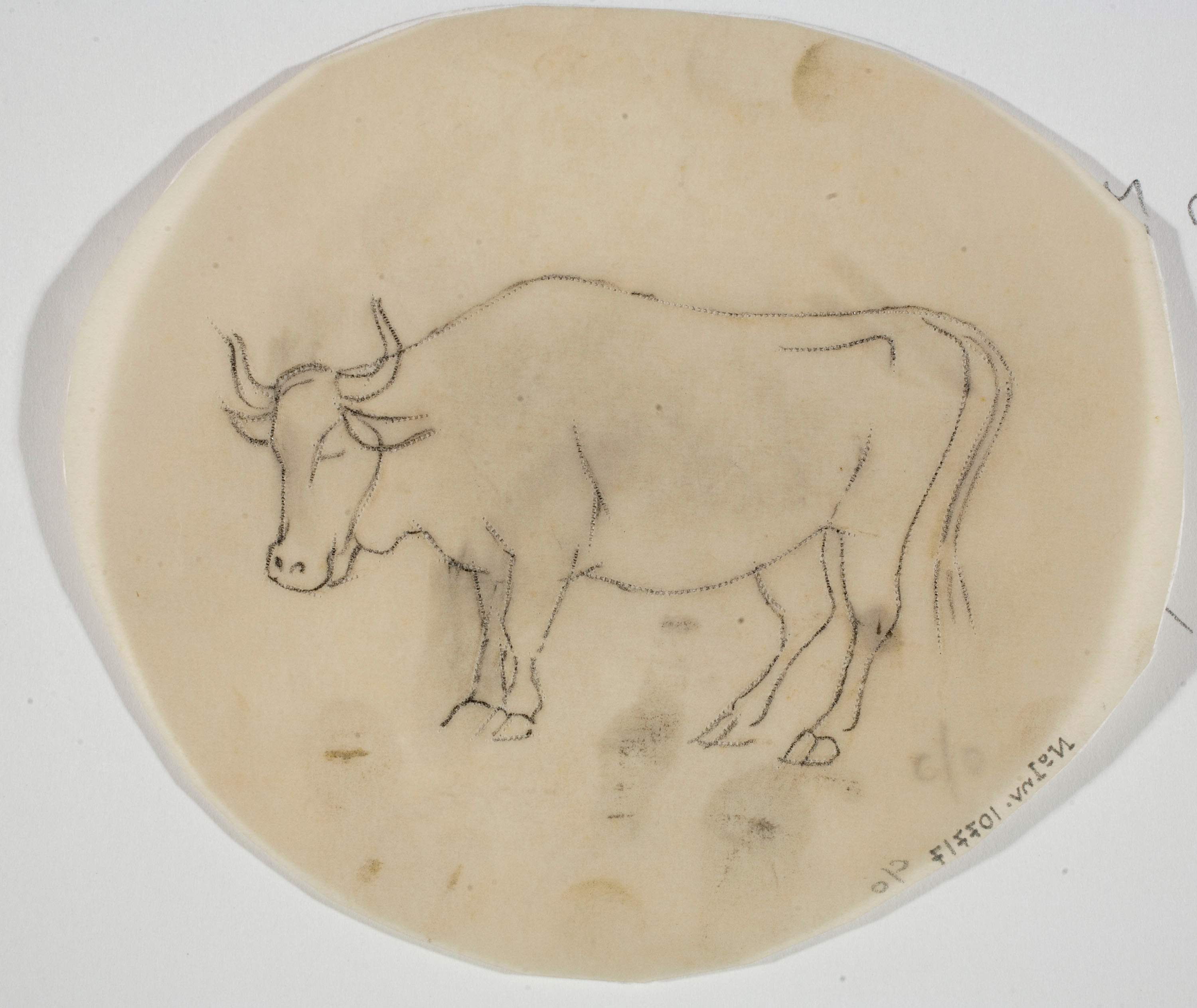 image for: Xavier Nogués - Bou