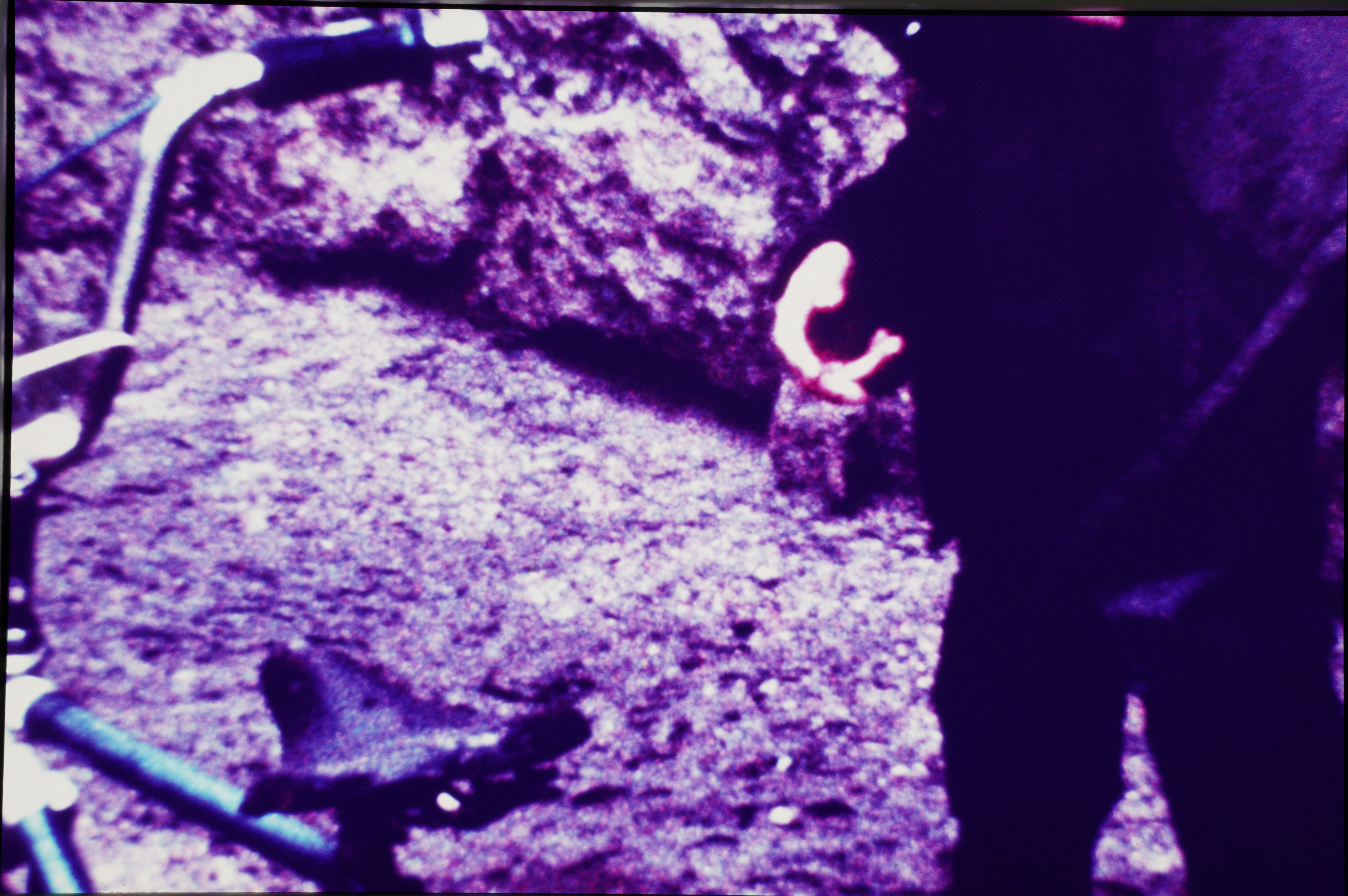 Pere Formiguera - Sense títol - [no-dating]