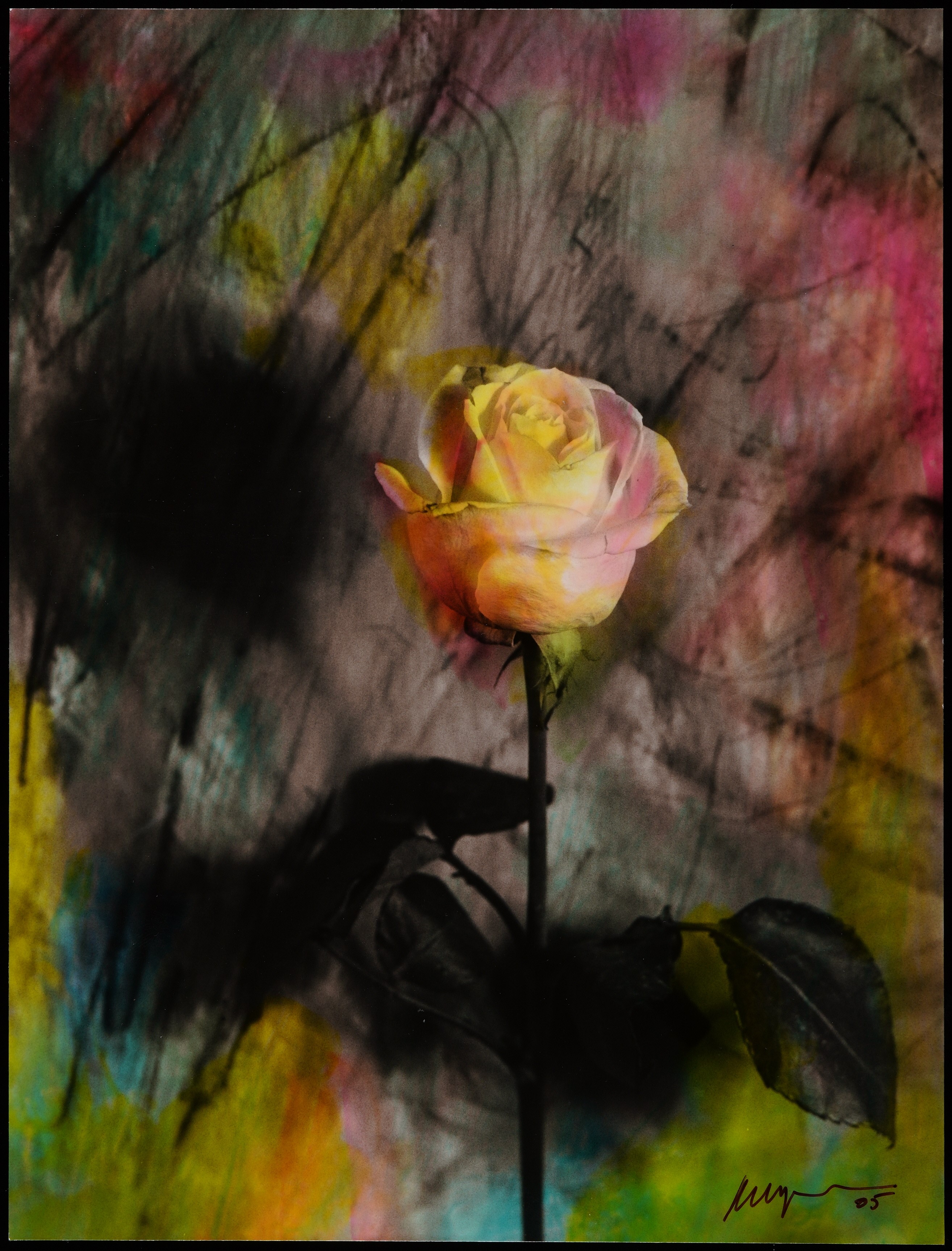 Pere Formiguera - La rosa - [no-dating]