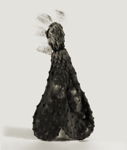 image for: Joan Fontcuberta - Fallera carnosa (Herbarium) - 1982