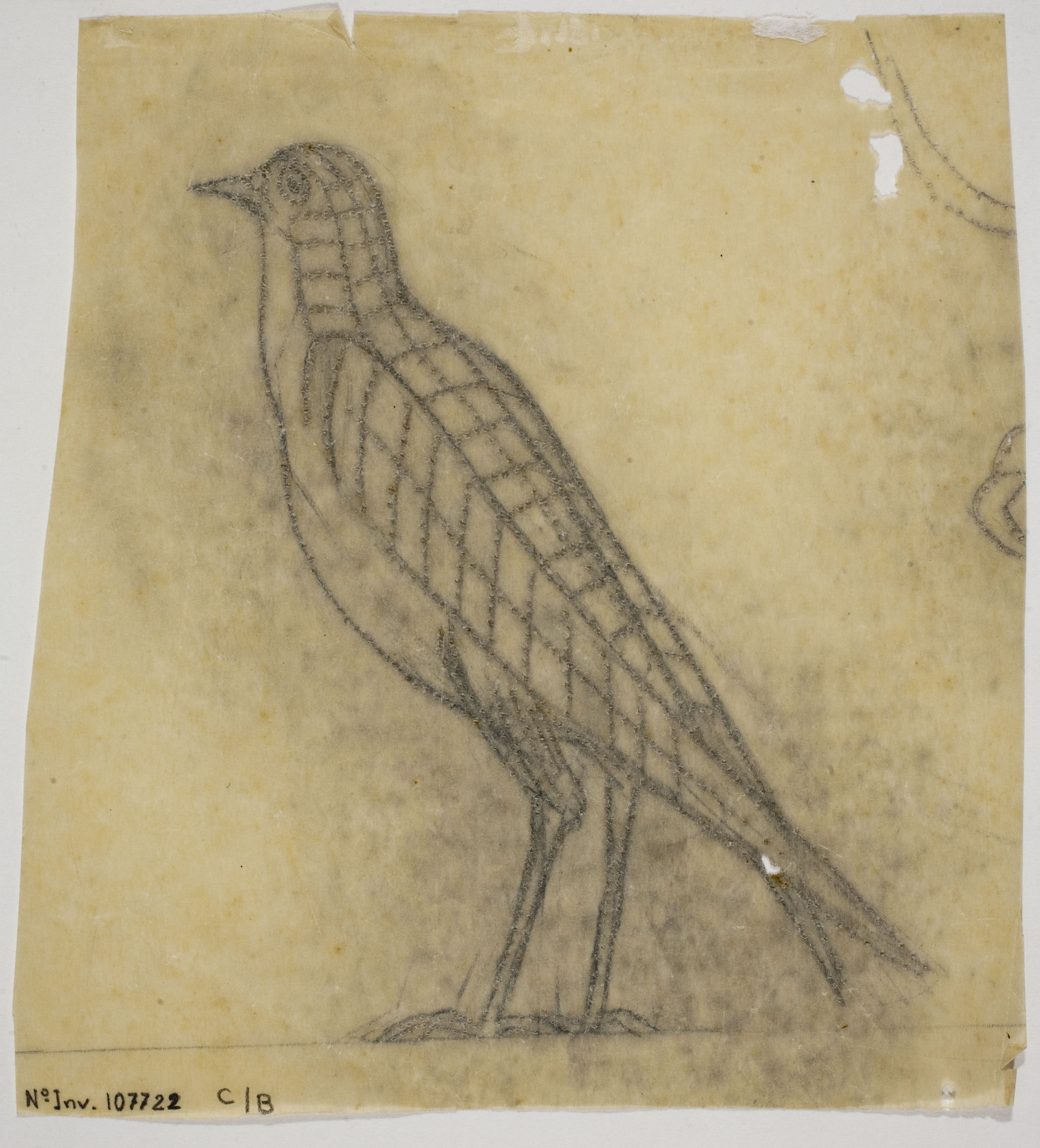image for: Eveli Torent - Ocell
