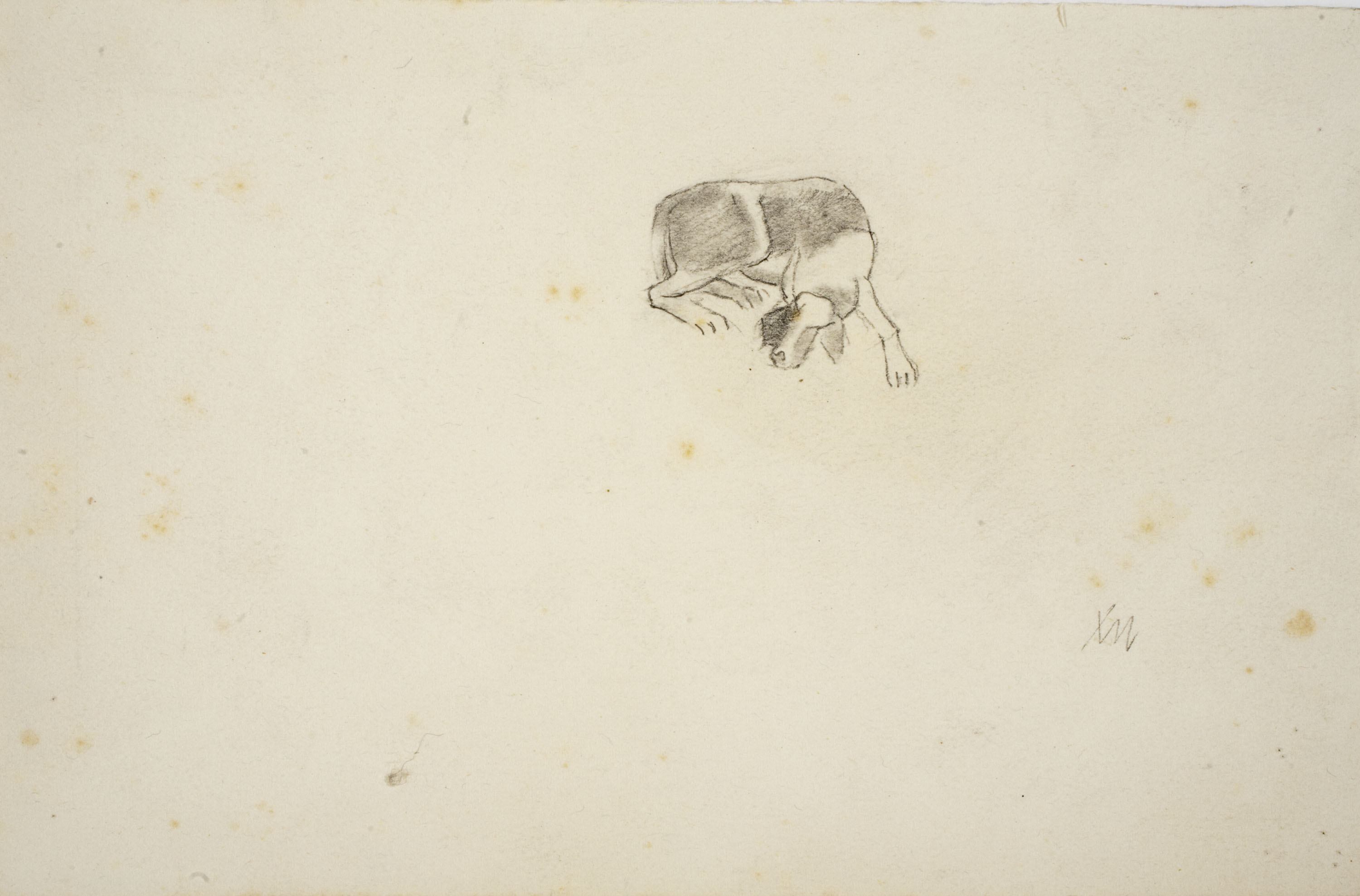 image for: Xavier Nogués - Gos. Estudi preparatori per a l'oli «Excursionistes» - Cap a 1938