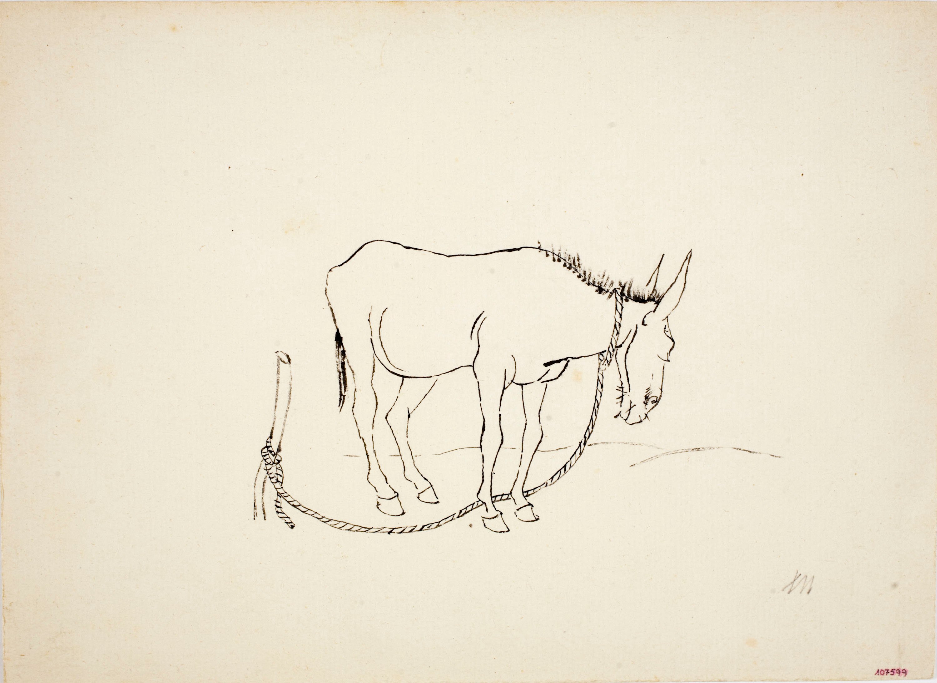 image for: Xavier Nogués - Ase (il·lustració per al «Bestiari» de Joan Oliver) - Cap a 1937