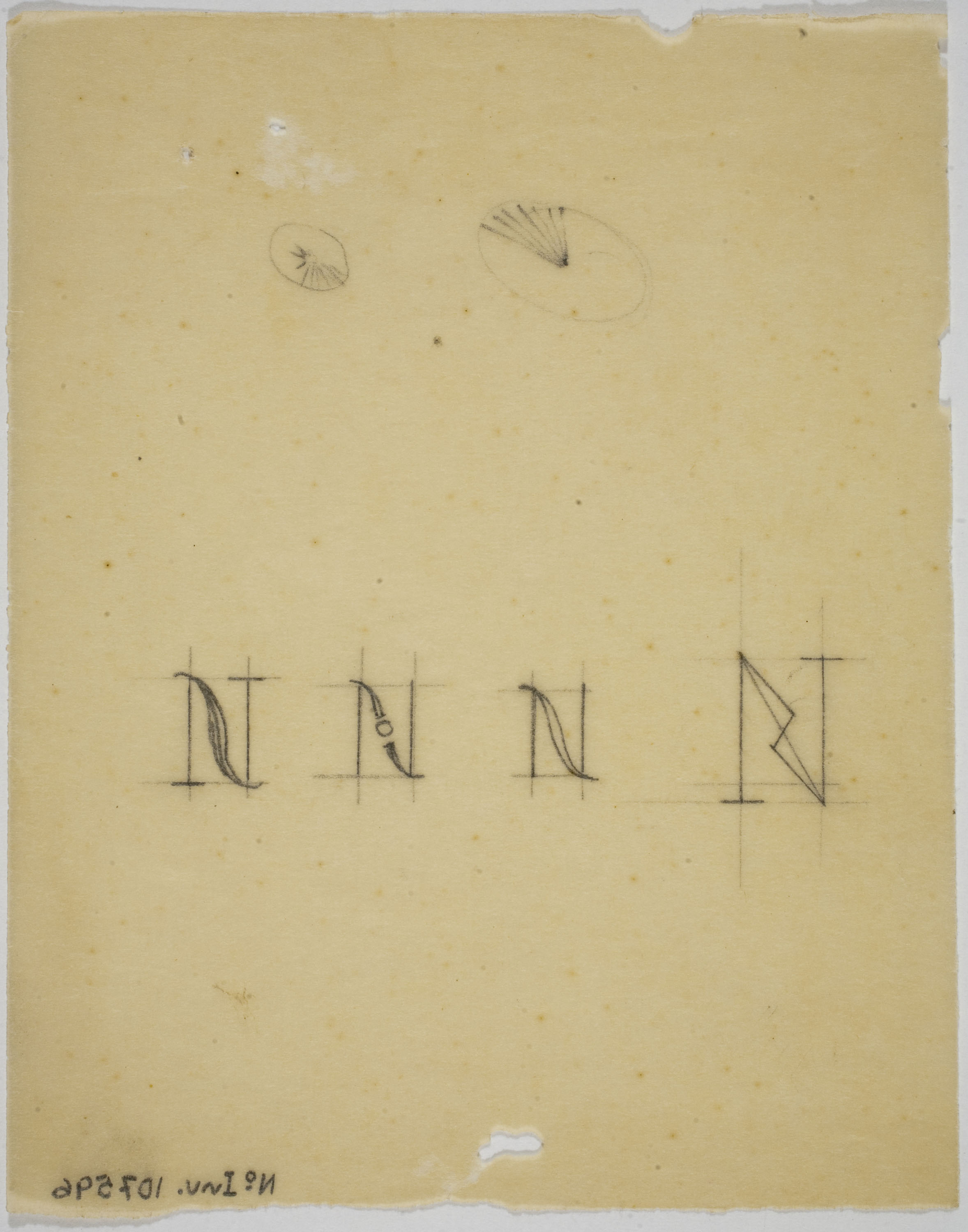 image for: Xavier Nogués - Quatre variants de la lletra N