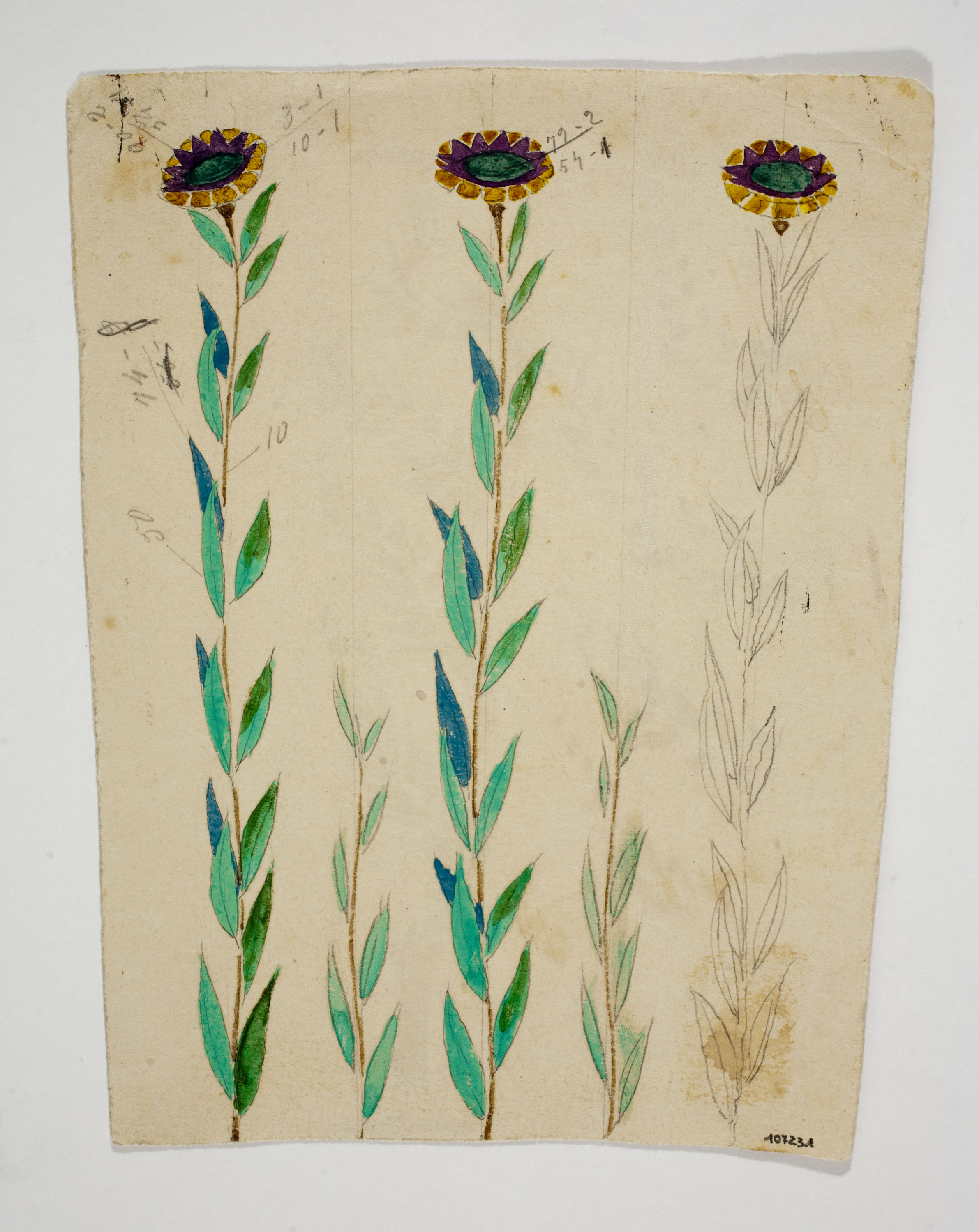 image for: Xavier Nogués - Motius florals. Estudi preparatori per a la decoració de vidre esmaltat - Cap a 1924-1928