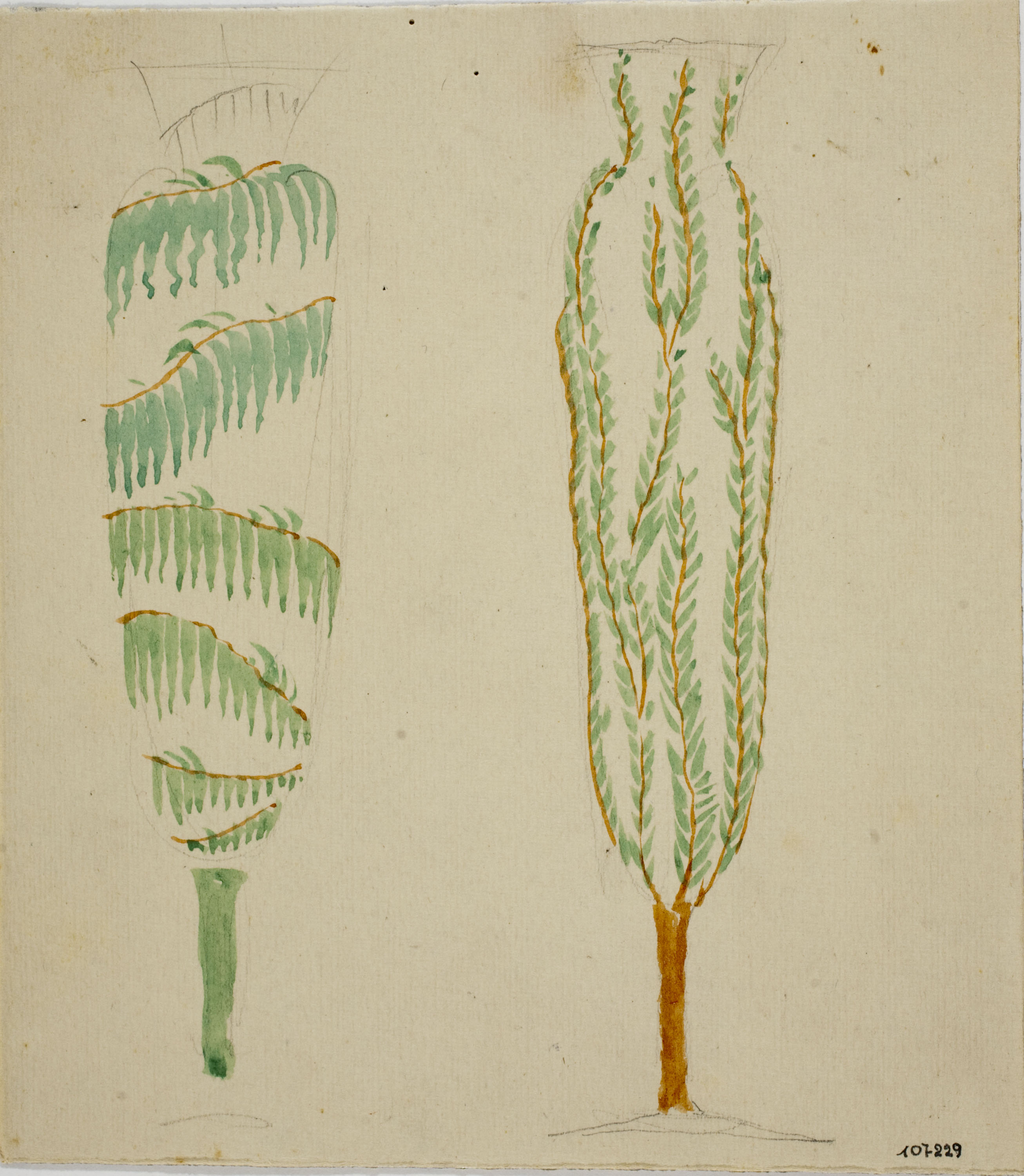 Xavier Nogués - Motius vegetals. Estudi preparatori per a la decoració de vidre esmaltat - Cap a 1924-1928 image for: Xavier Nogués - Motius vegetals. Estudi preparatori per a la decoració de vidre esmaltat - Cap a 1924-1928