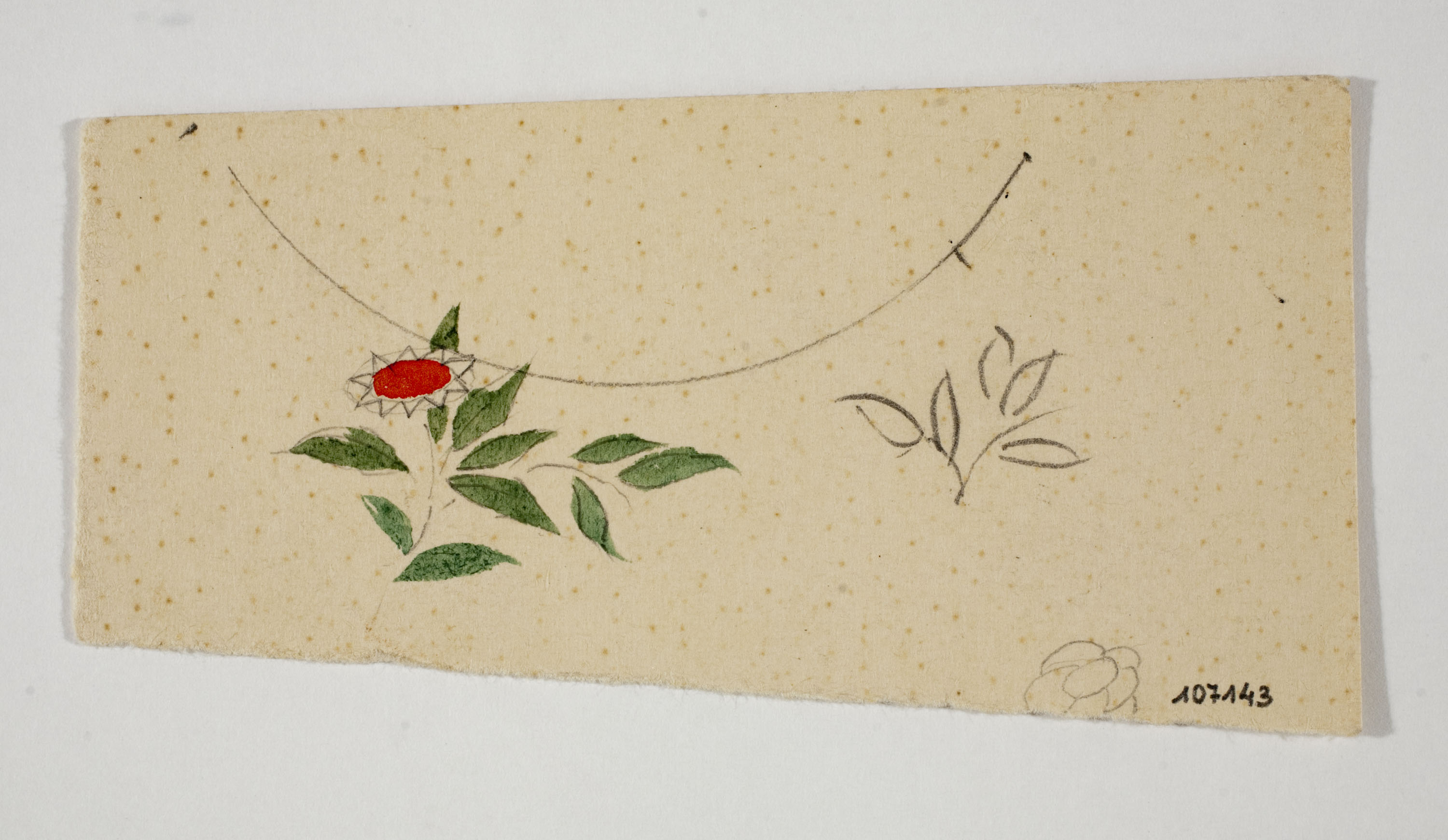 image for: Xavier Nogués - Motius florals. Estudi preparatori per a la decoració de vidre esmaltat - Cap a 1924-1928